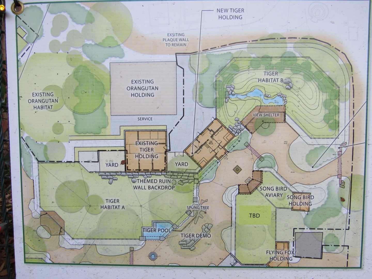Display showing plans for new tiger exhibit