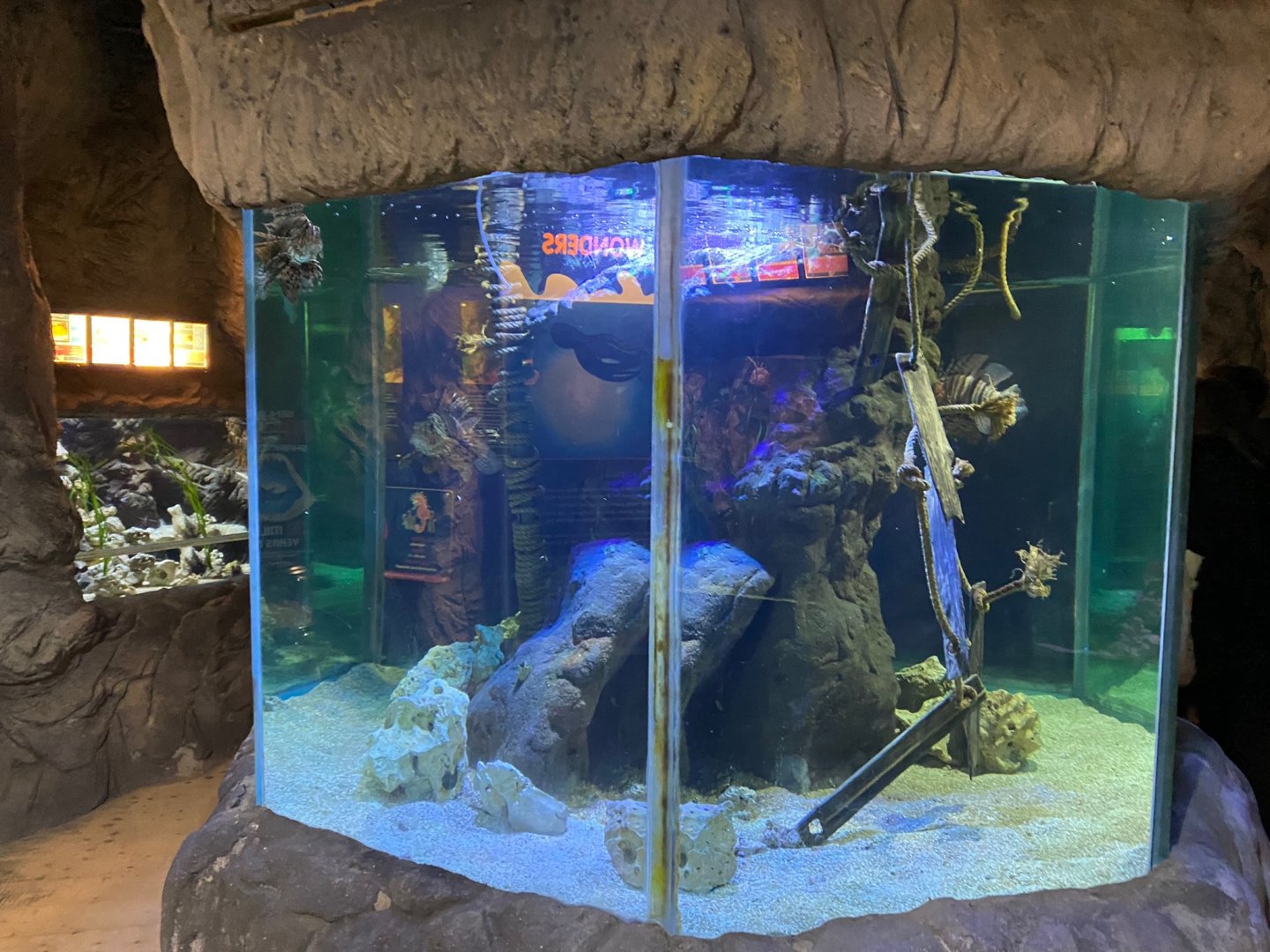Display tank 240122