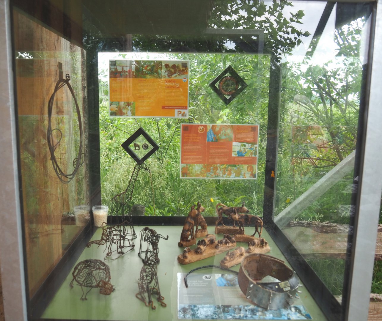 Display with African wild dog conservation project signage, Study collar and Trinkets made from snare metal, 2022-05-17