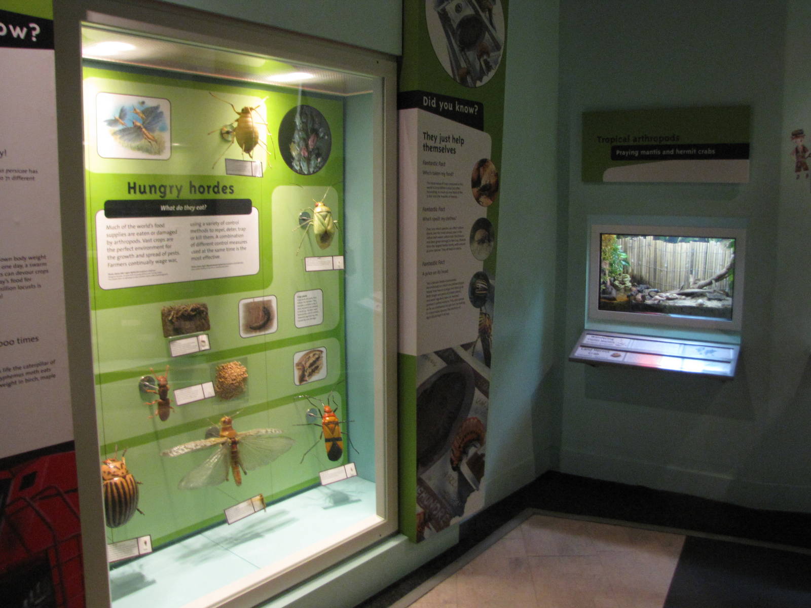 Displays at World Museum Liverpool
