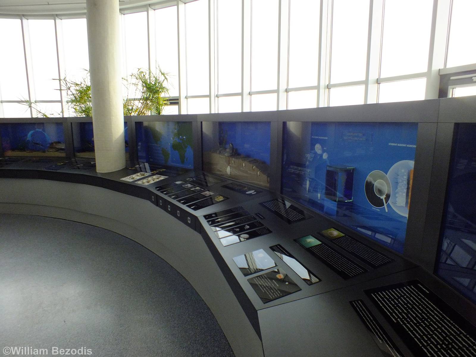 Displays - Gdynia Aquarium