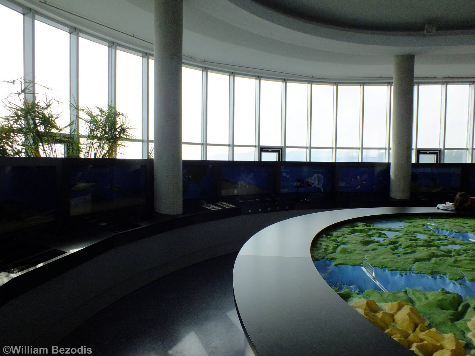 Displays - Gdynia Aquarium