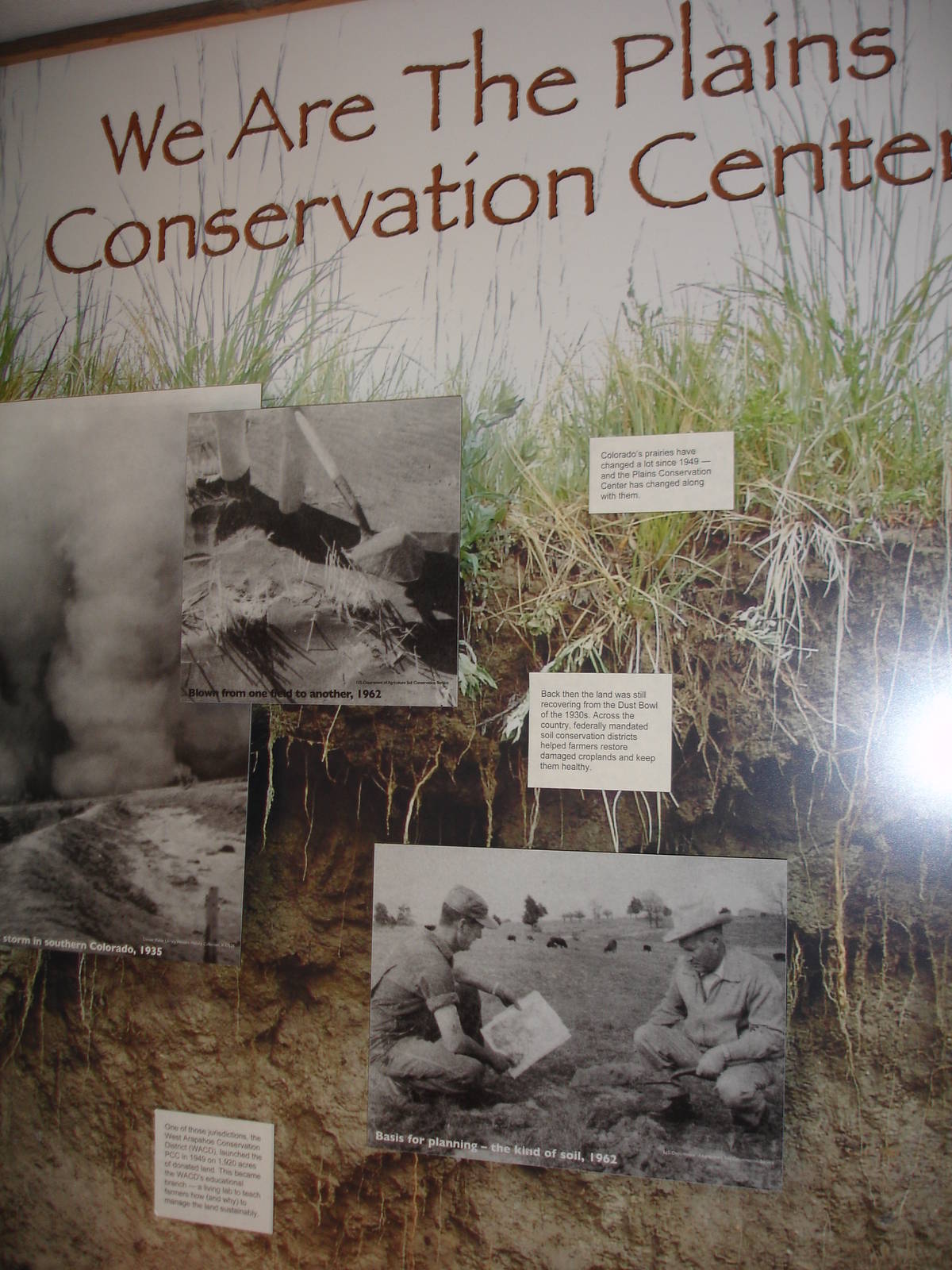 Displays - main building