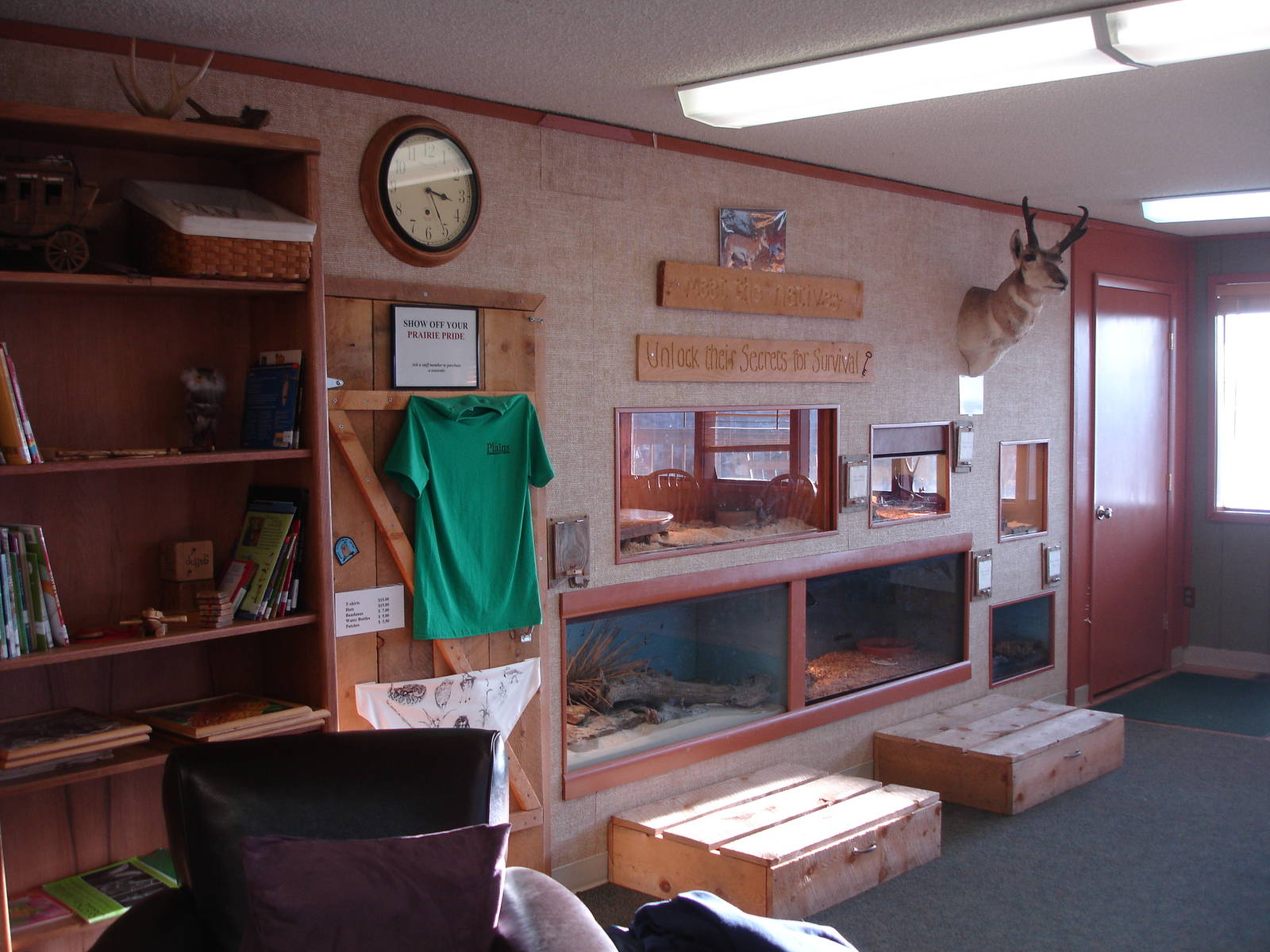 Displays/Shop/Reptiles - main building