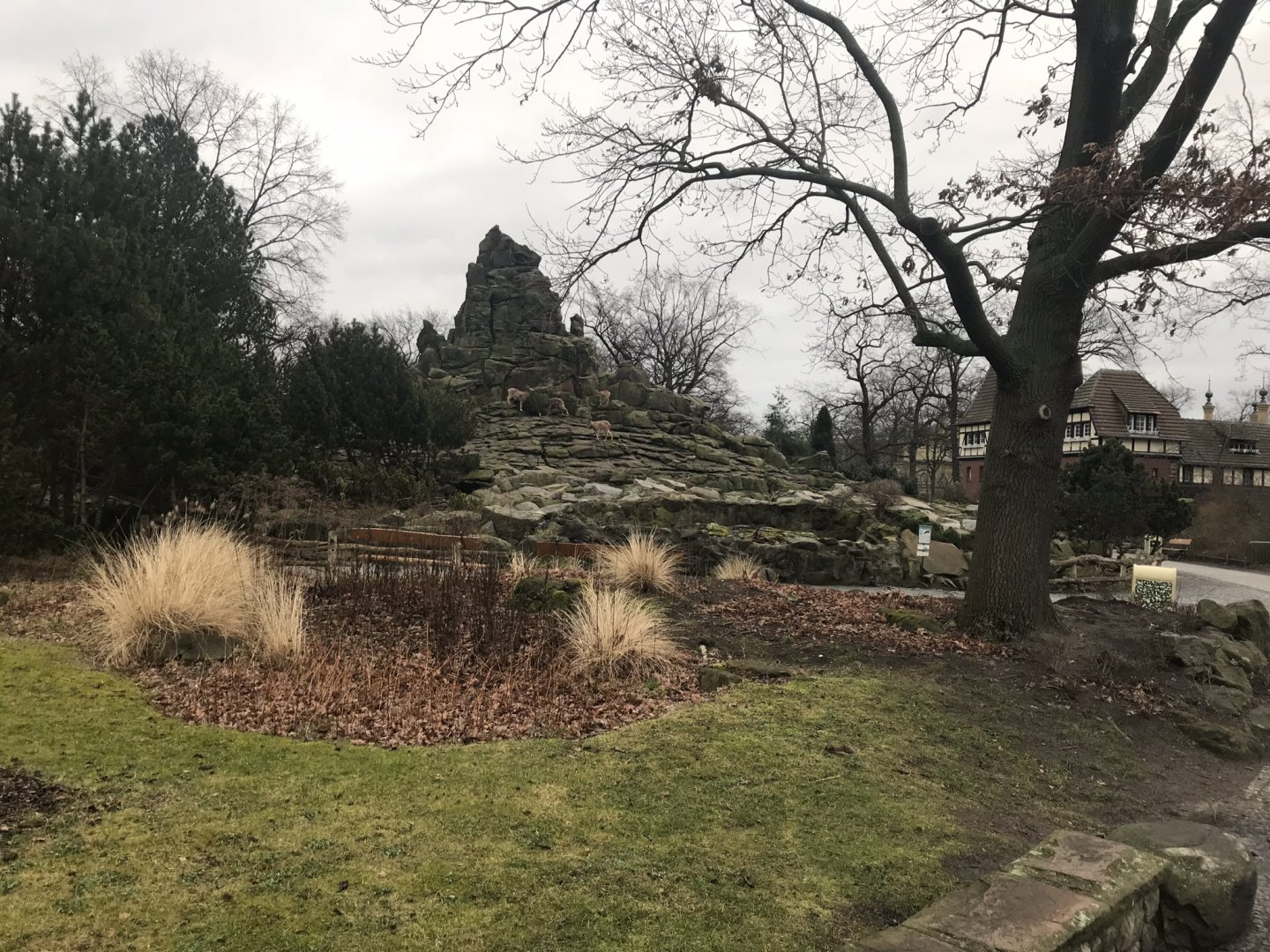 Distant view of ibex enclosure 290118