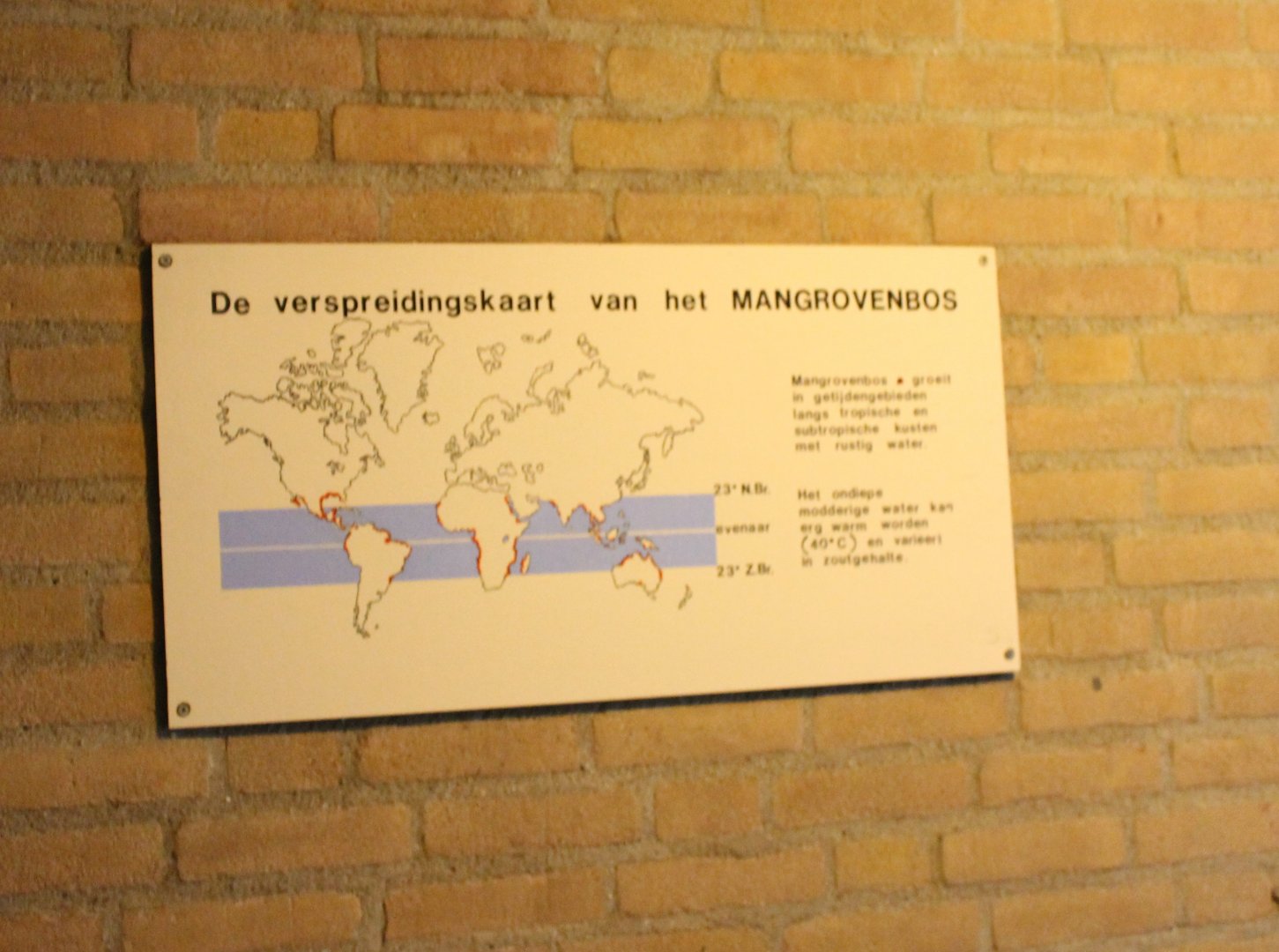 Distribution of mangroves