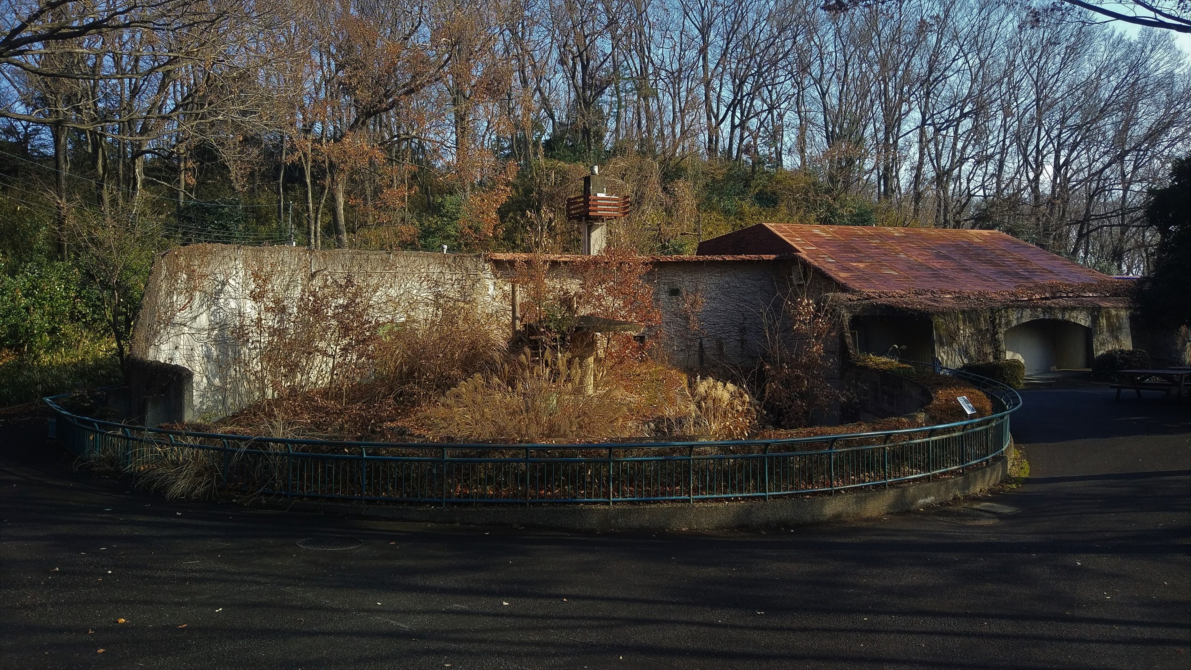 Disused Animal House