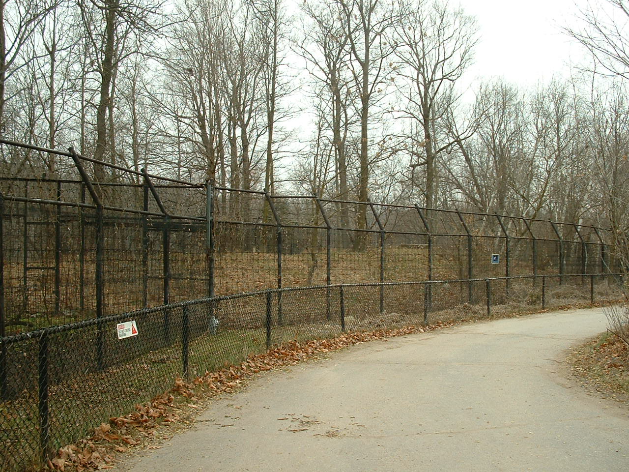 Disused Arctic Wolf Enclosure - Nov 2012