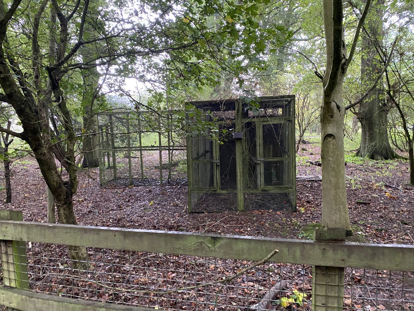 Disused aviary, Owl wood, ZSL Whipsnade