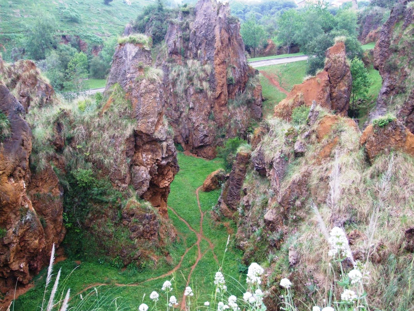 Disused Enclosure at Cabarceno, 11/06/15