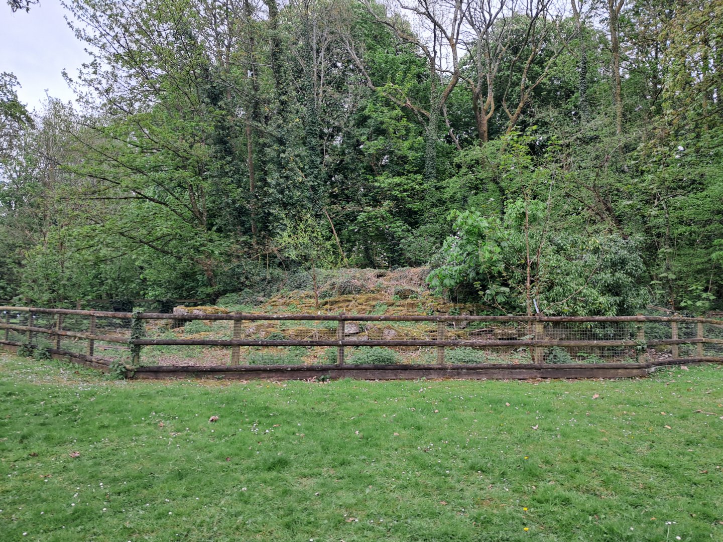 Disused enclosure(?) on South Road- 20/4/2025