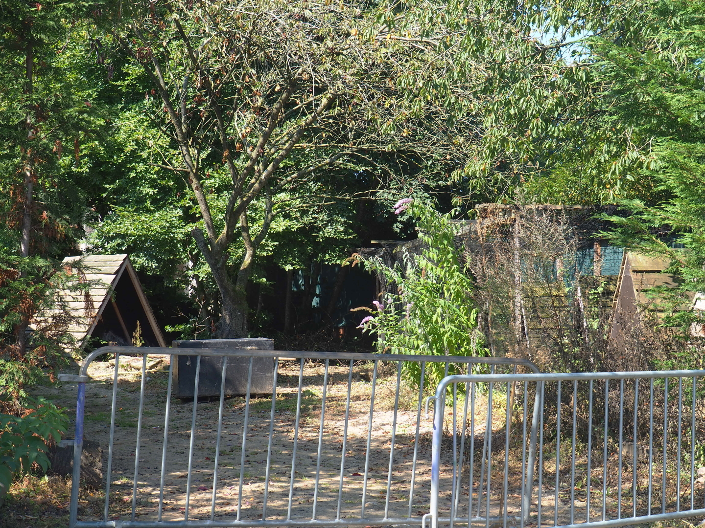 Disused falconry area, 2021-09-03