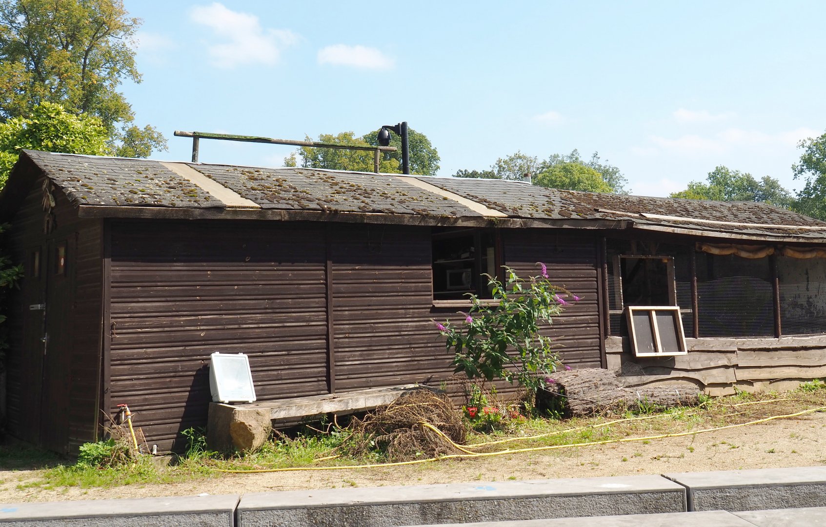 Disused falconry mews, 2021-09-02