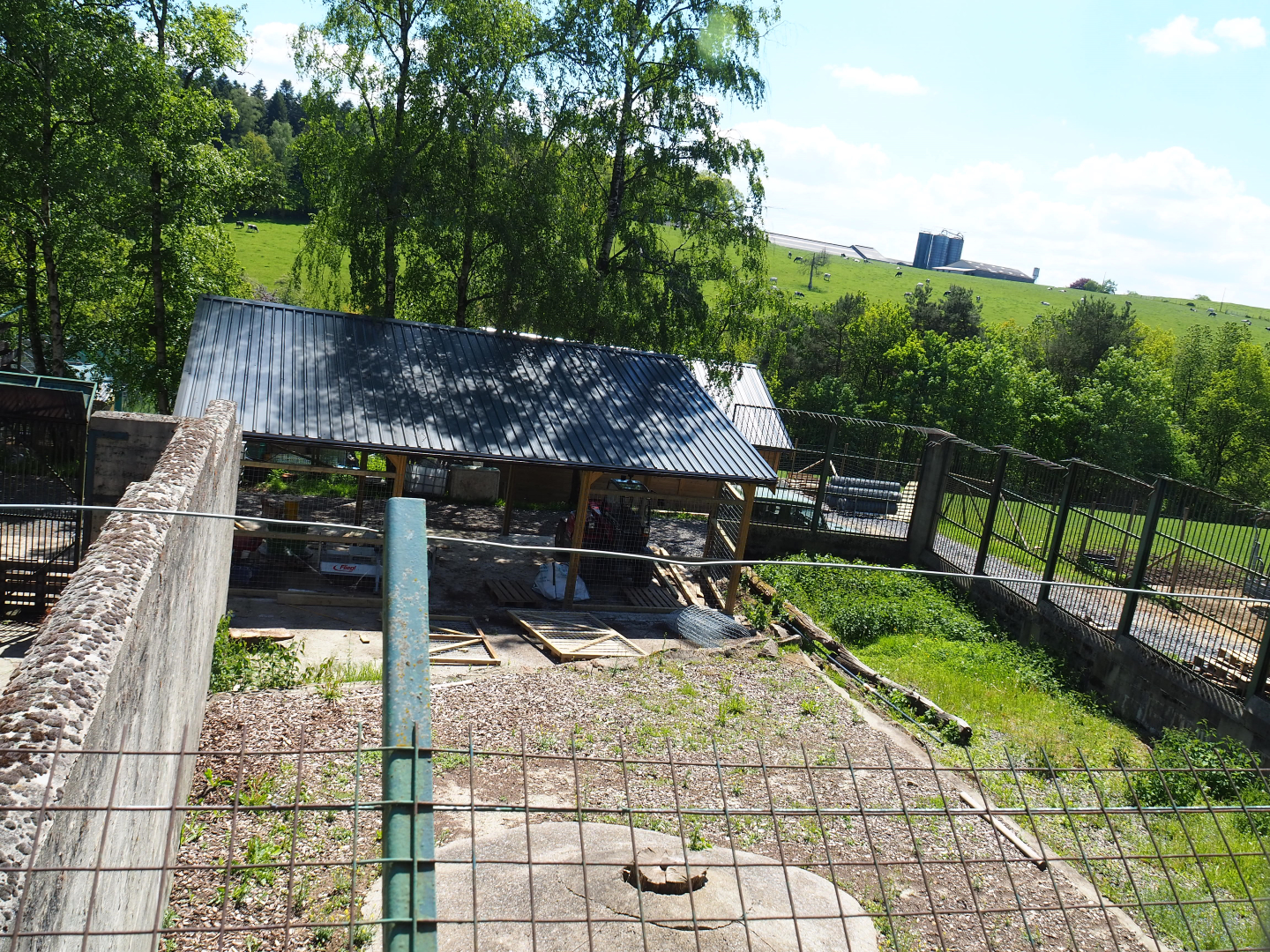 Disused former Eurasian brown bear pit, 2021-05-29