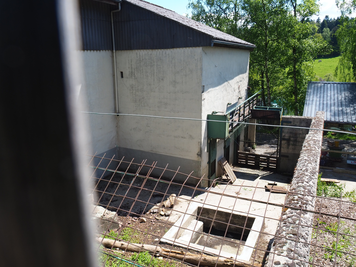 Disused former Eurasian brown bear pit, 2021-05-29