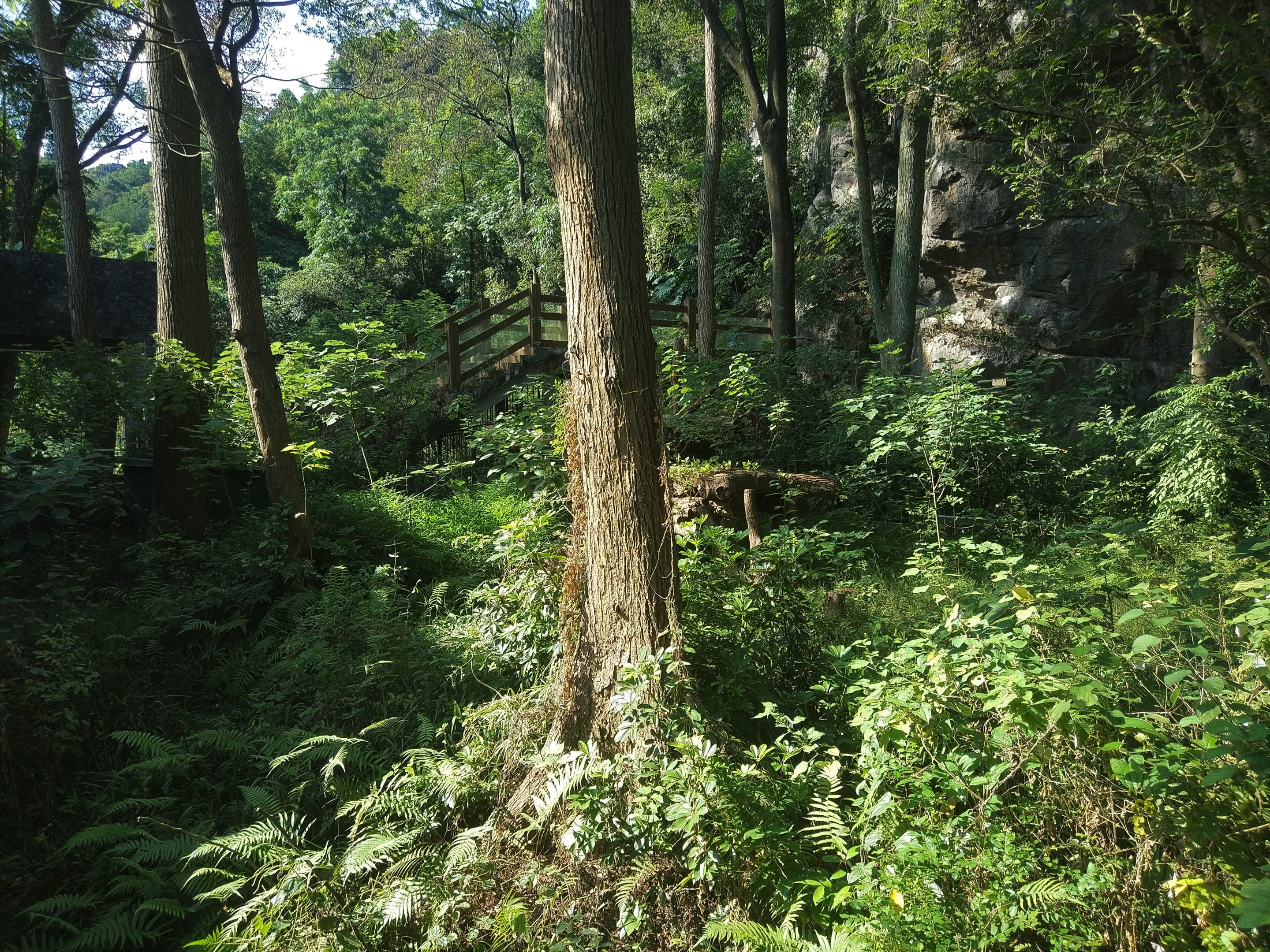 Disused Giant Panda Enclosure