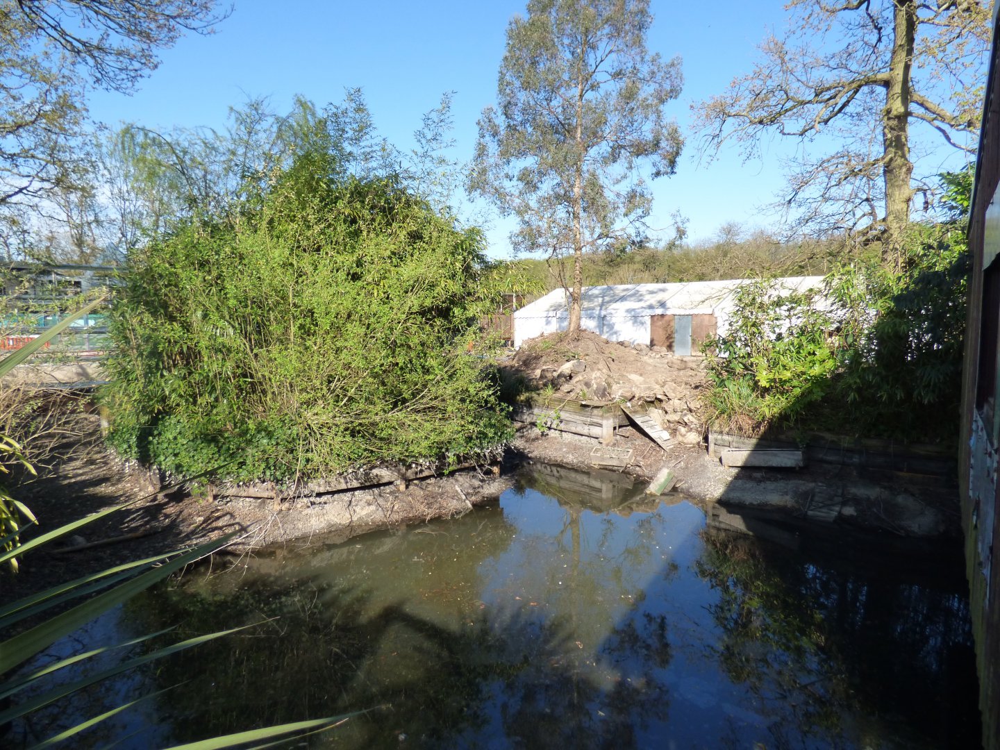 Disused Island (Former Squirrel Monkey)
