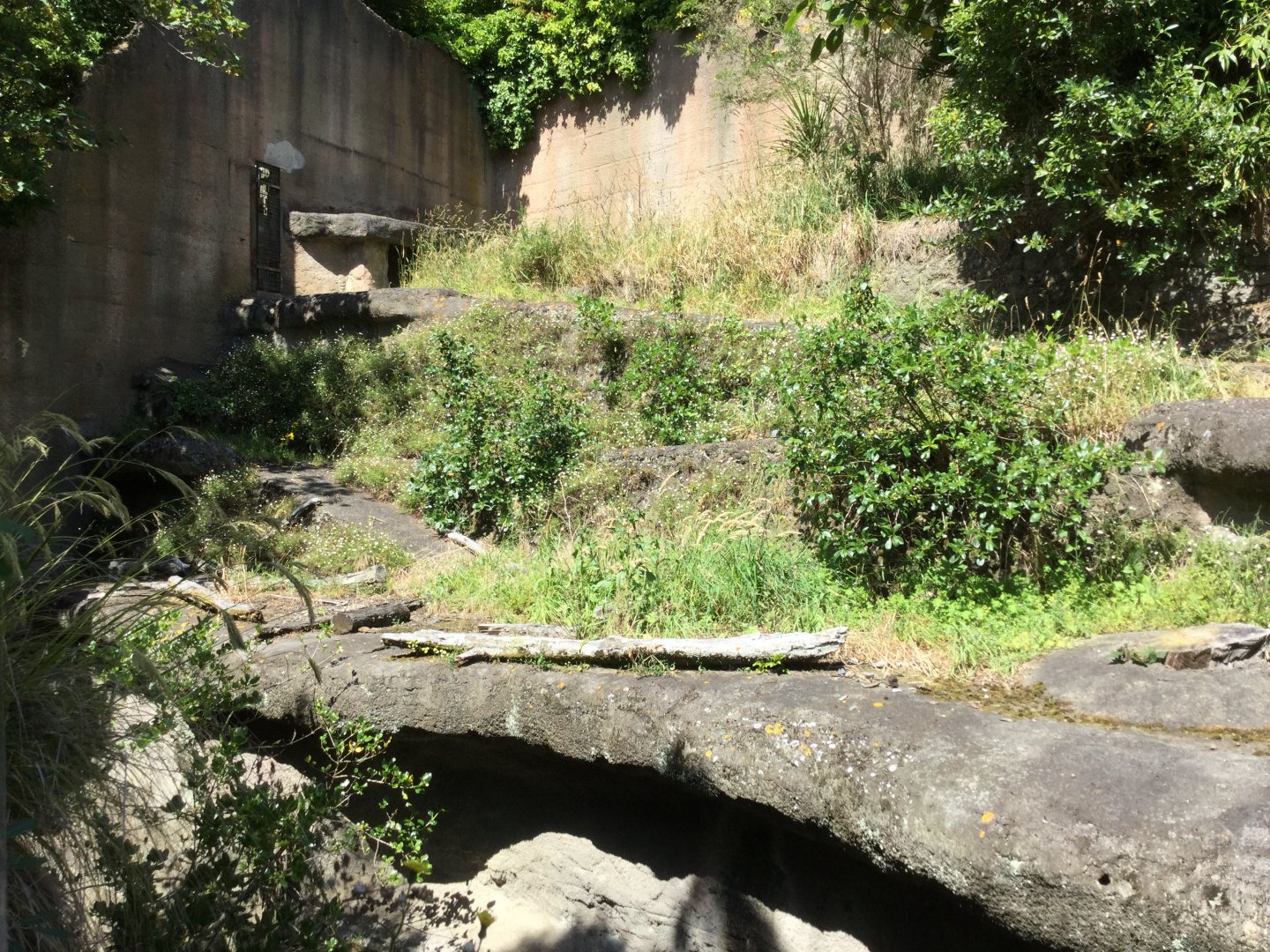 Disused Malayan Sun Bear Exhibit (2019)