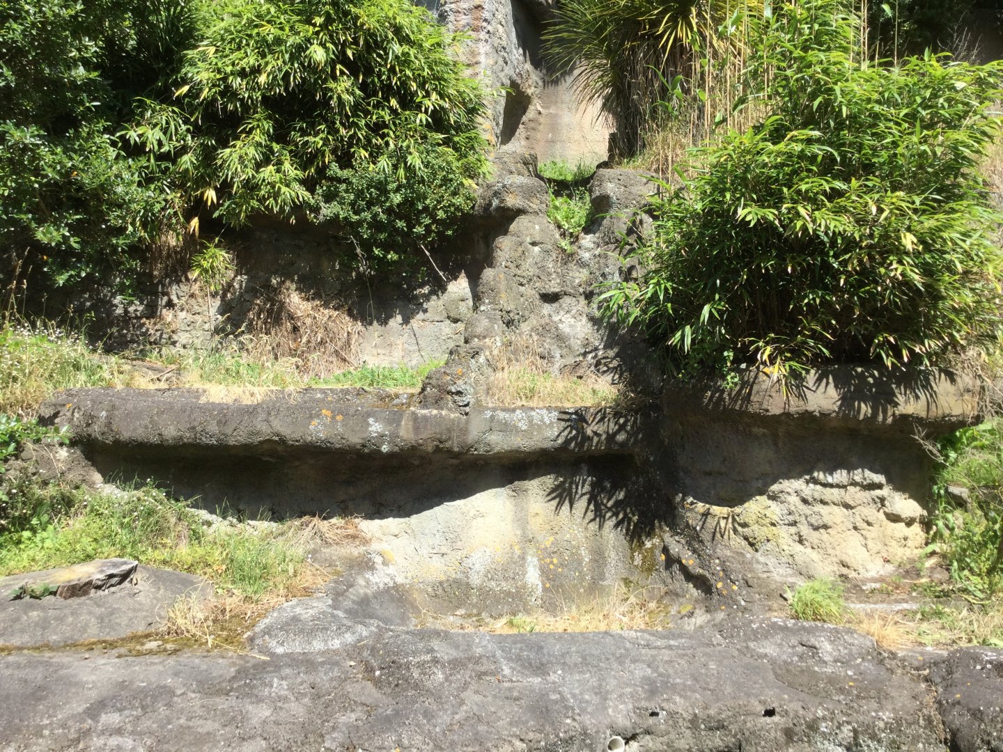 Disused Malayan Sun Bear Exhibit (2019)