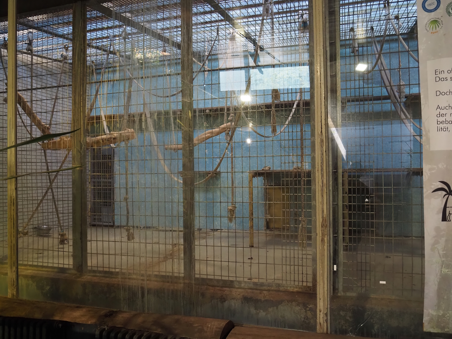 Disused monkey exhibit, 2024-06-08