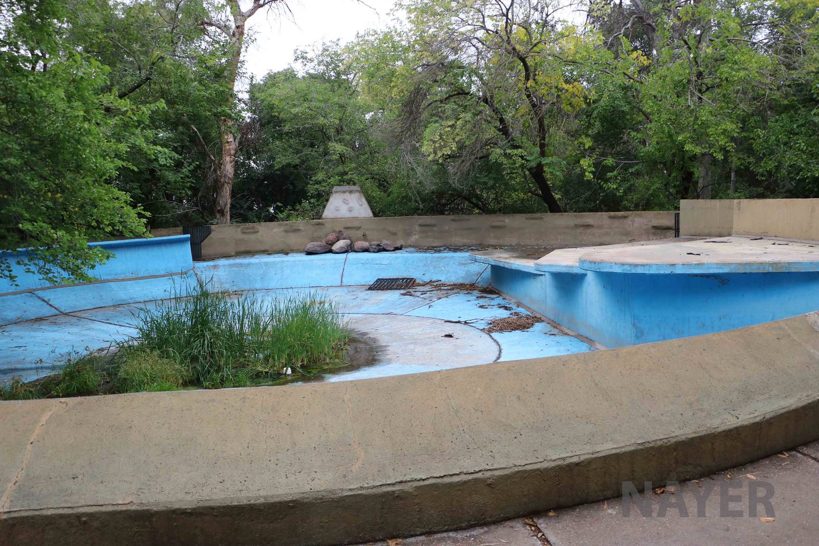 Disused pool - Mendoza Zoo, April 2016