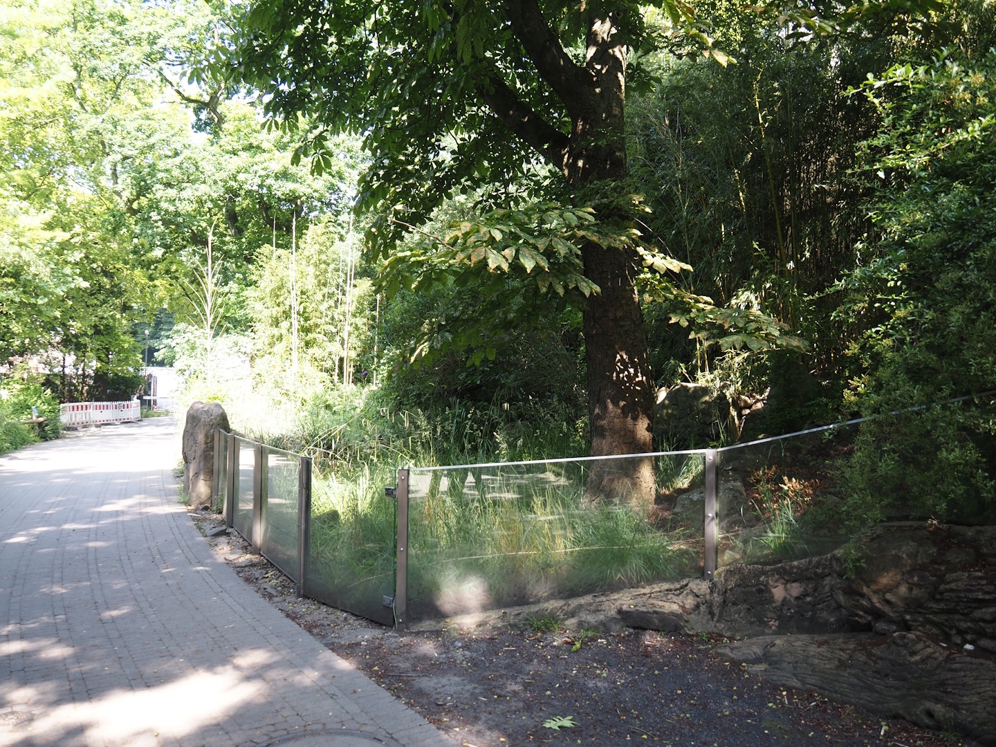 Disused tortoise paddock next to the Rio Negro house, 2024-06-08