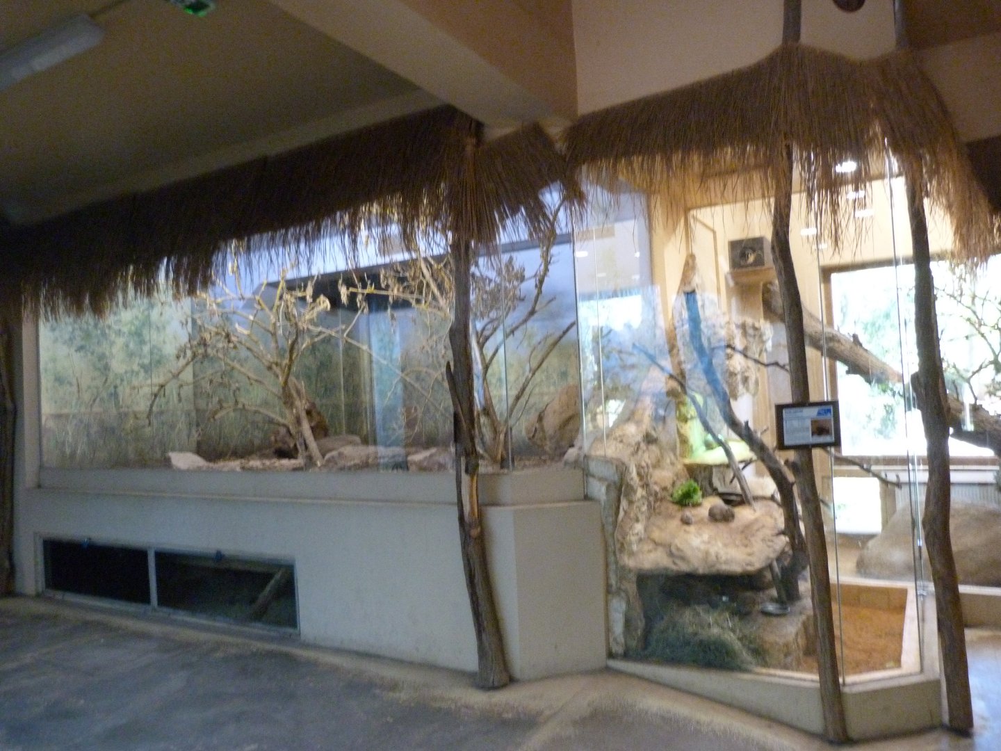 Diurnal area of African pavillion -Zoo Plzeň (2025)