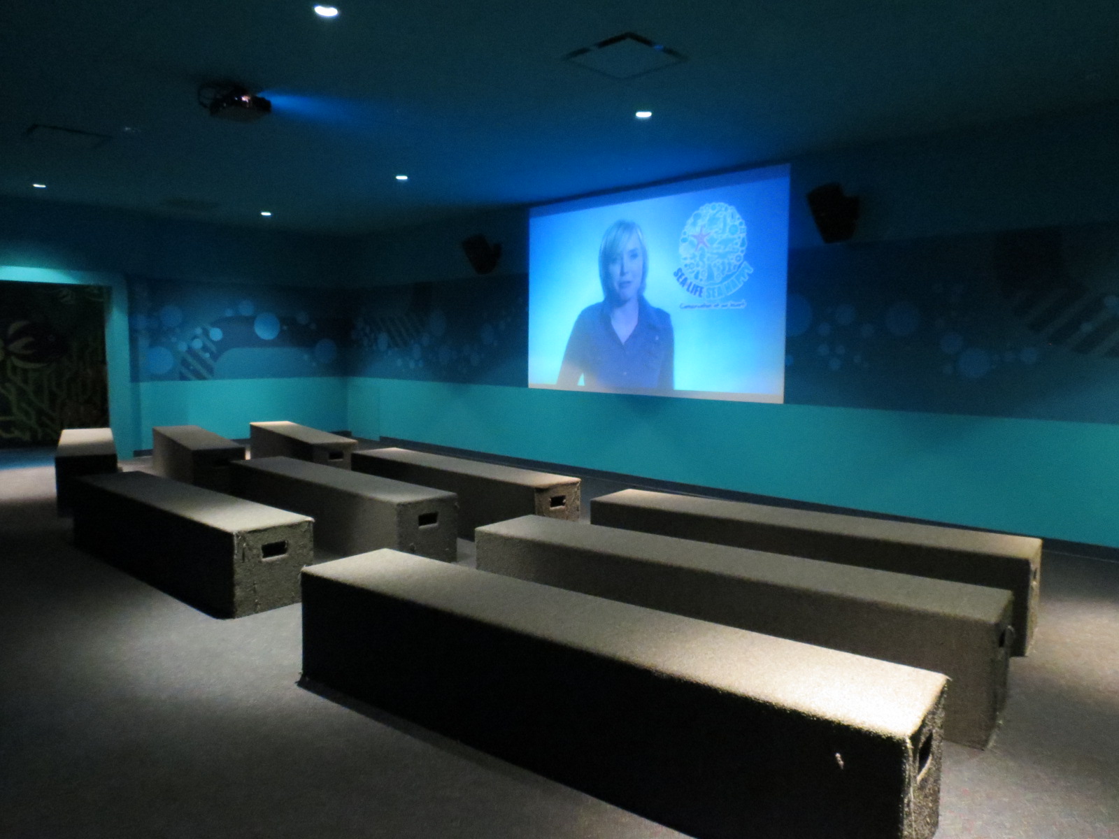 Dive Discovery Cinema