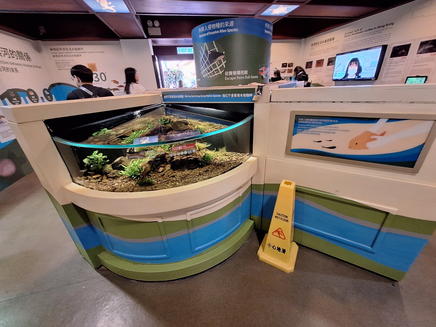 Dive Into Local Diversity