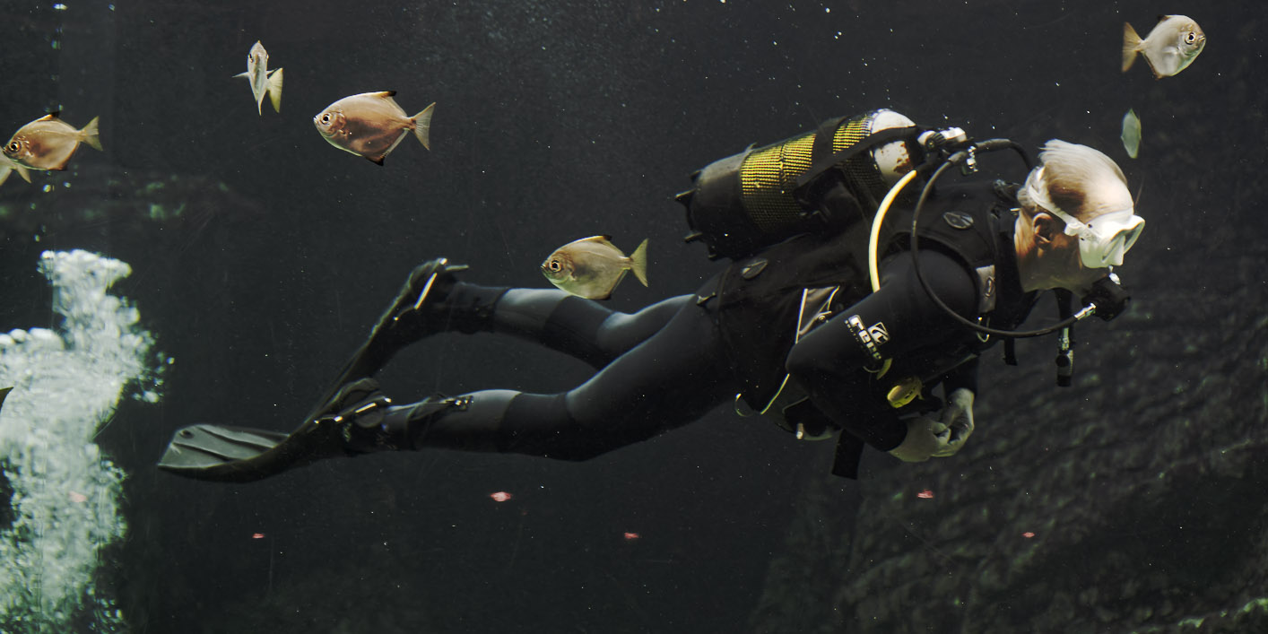 Diver in Ocean Exhibit
