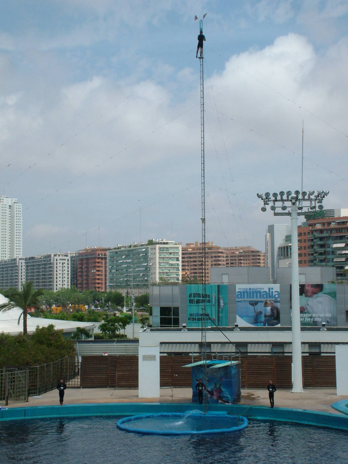 Diver in the Dolphin Show at Oceanografic, 29/05/11