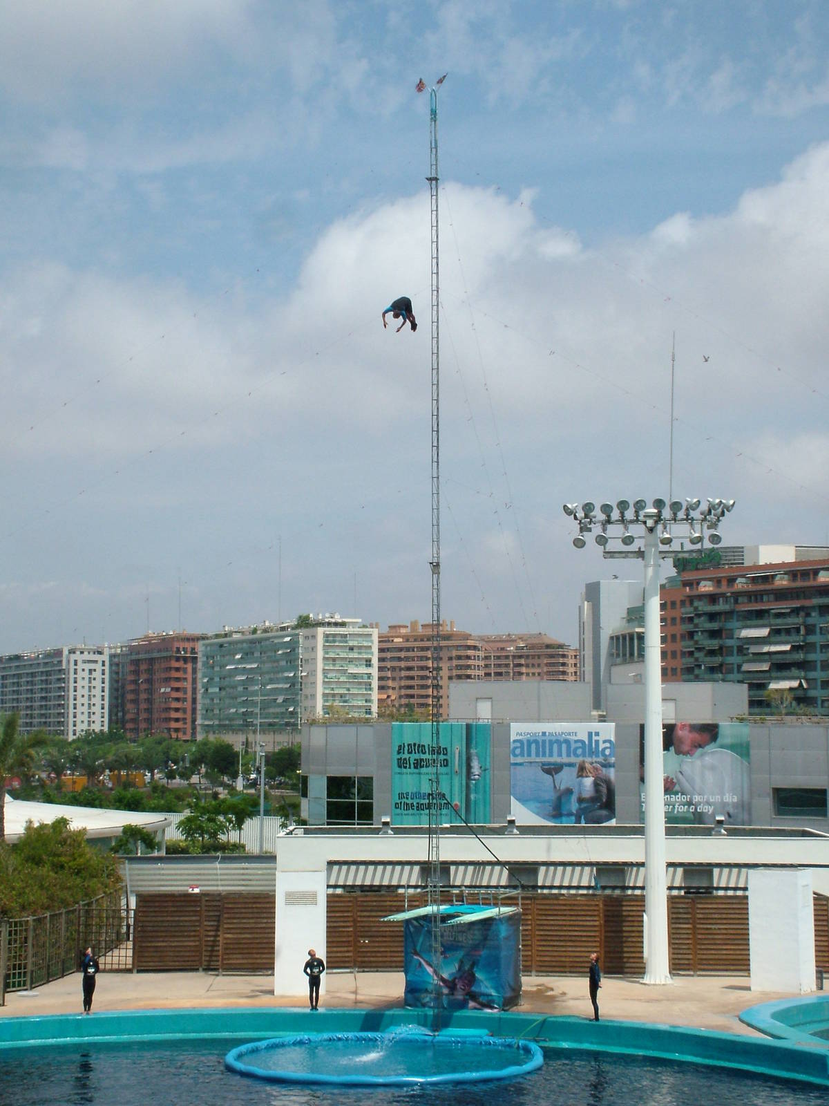 Diver in the Dolphin Show at Oceanografic, 29/05/11