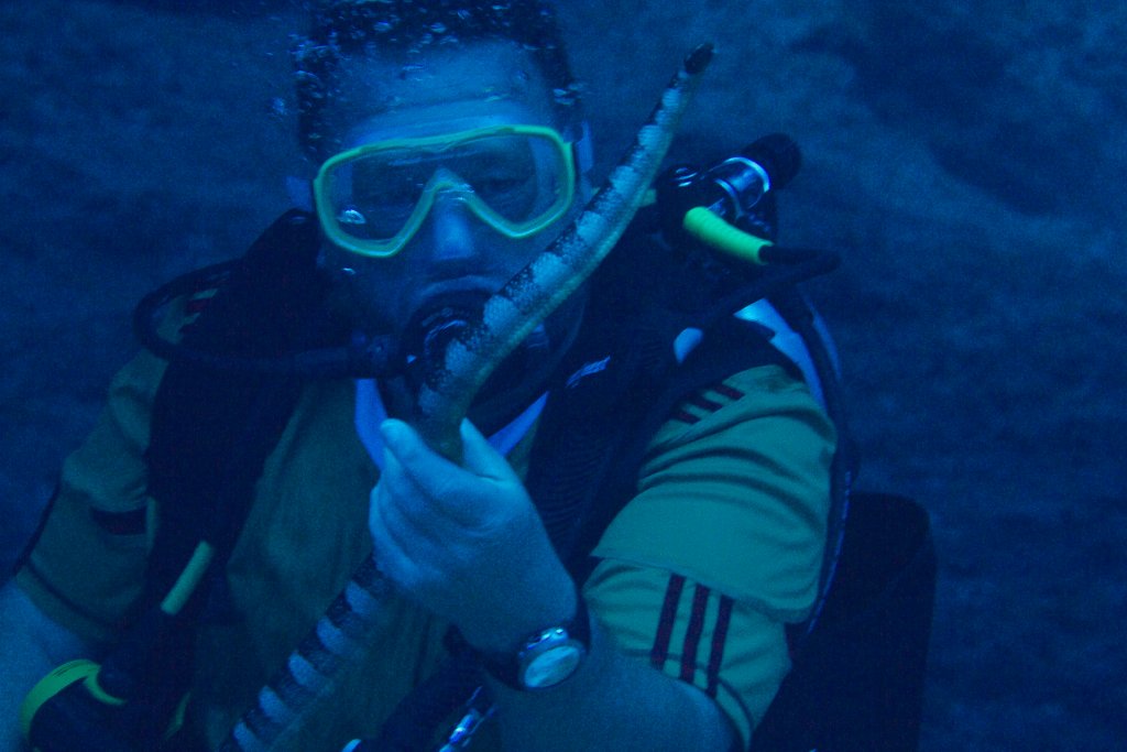 Diver with Brownbanded Seasnake