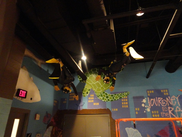 Divers Above the Journey to the Reef Entrance