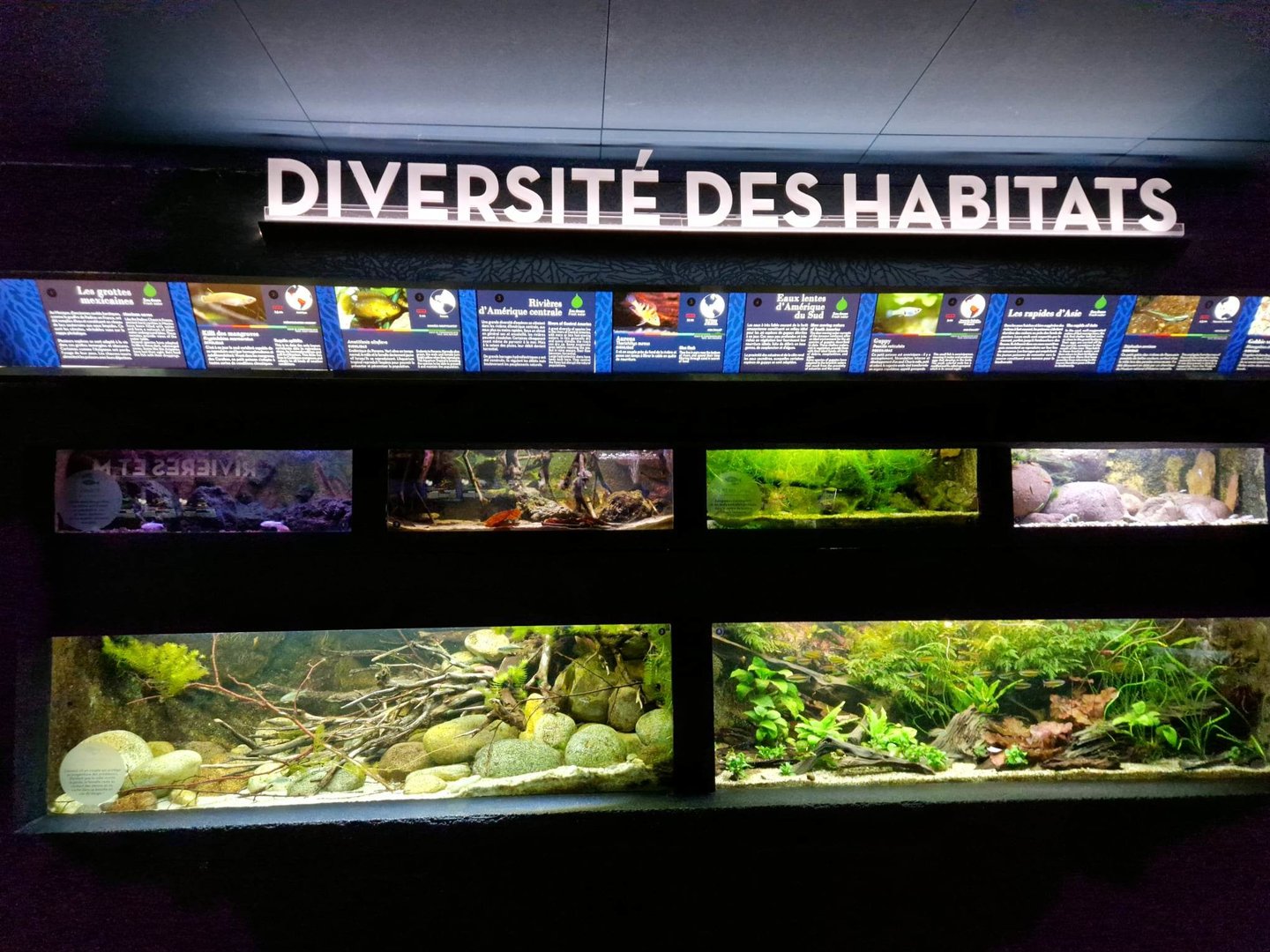 Diverse Habitats