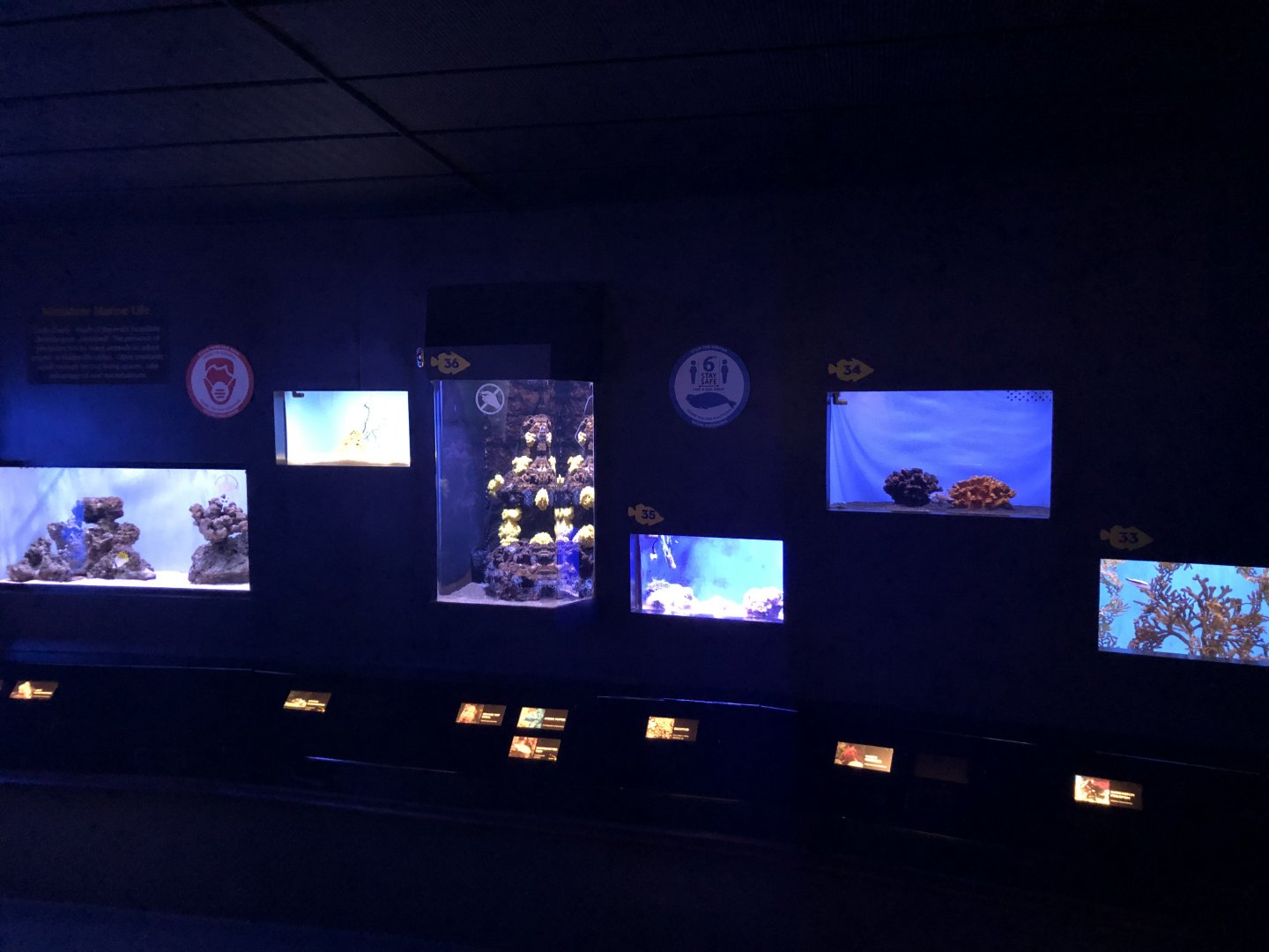 "Diversity and Adaptation" Gallery - Back wall