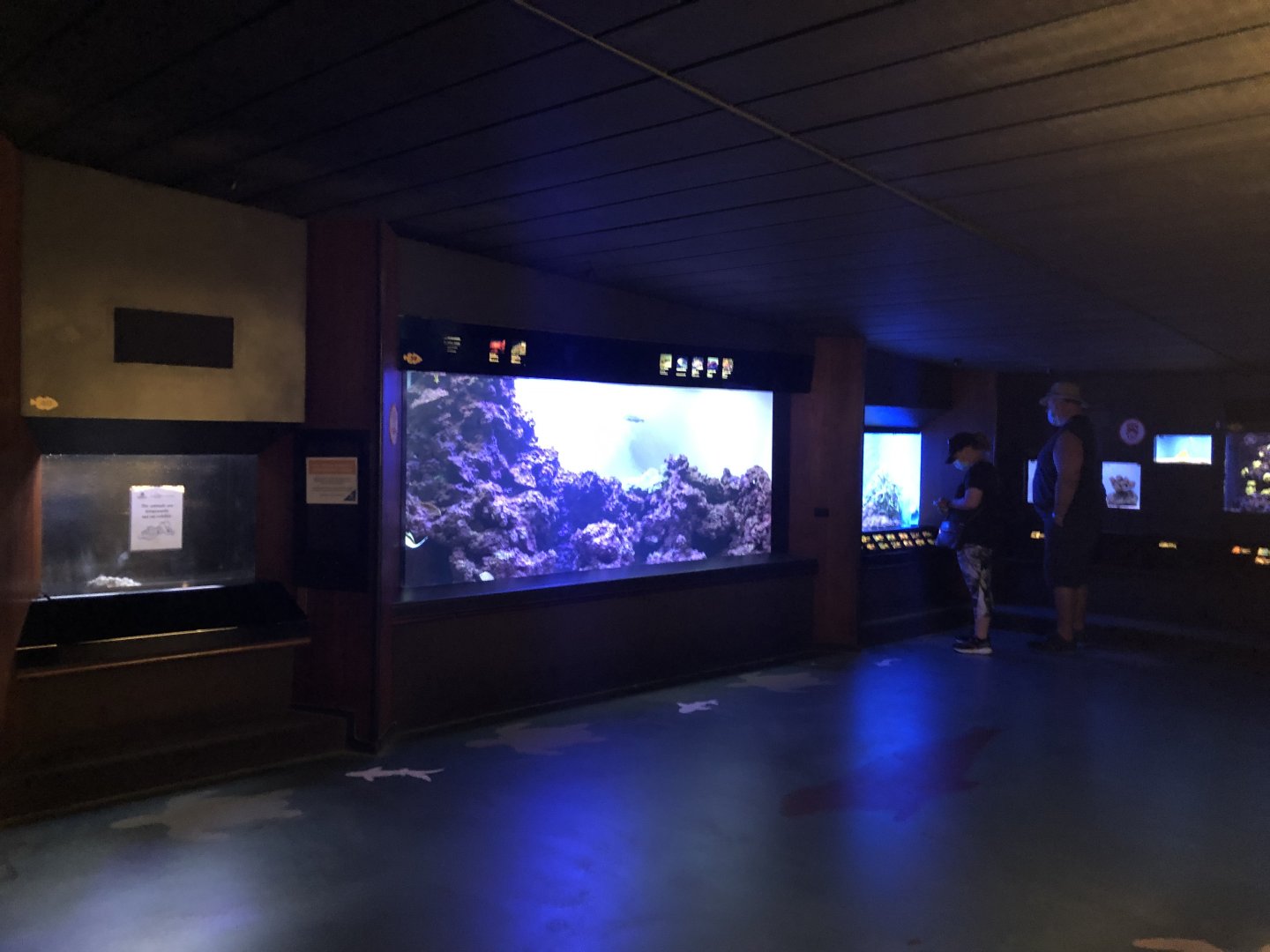 "Diversity and Adaptation" Gallery - Left wall