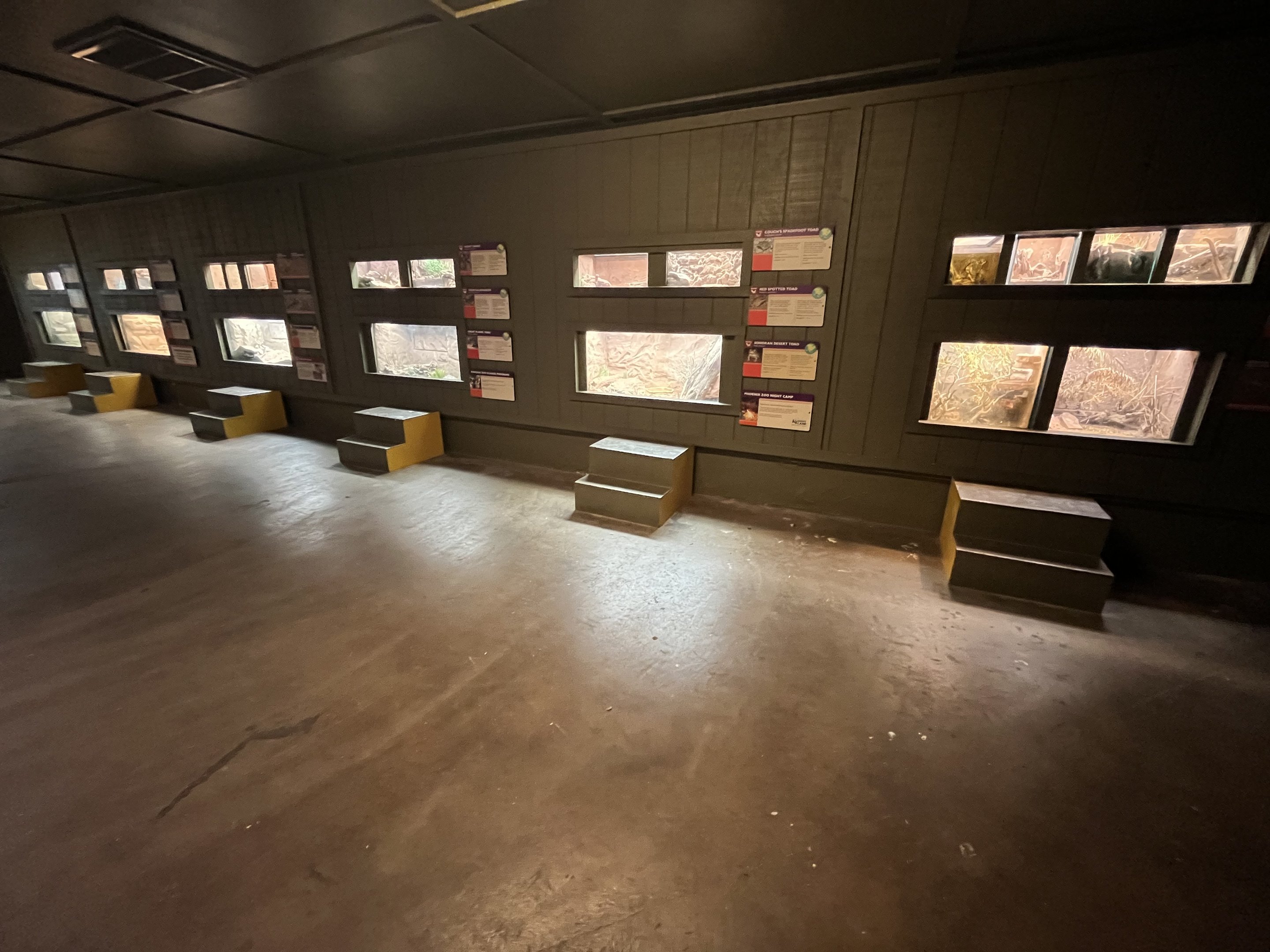 Diversity in the Desert