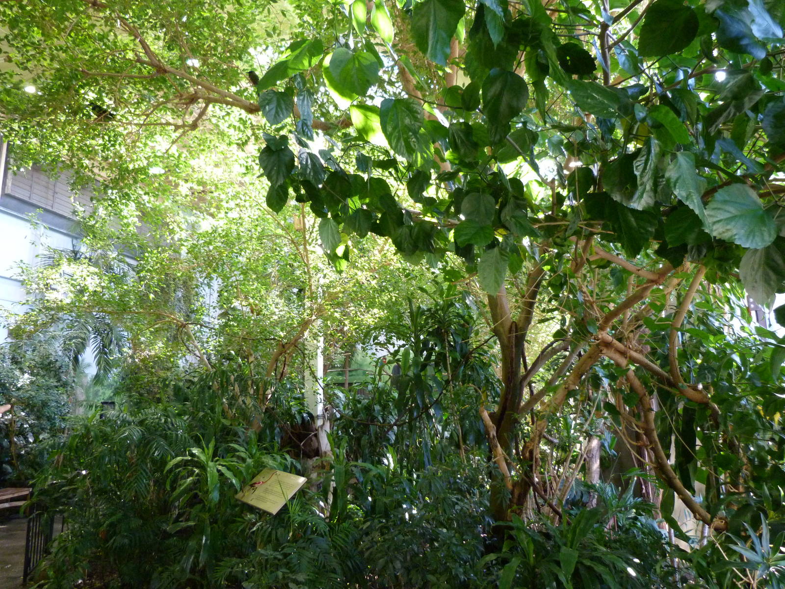 Diversity of Birds Exhibit