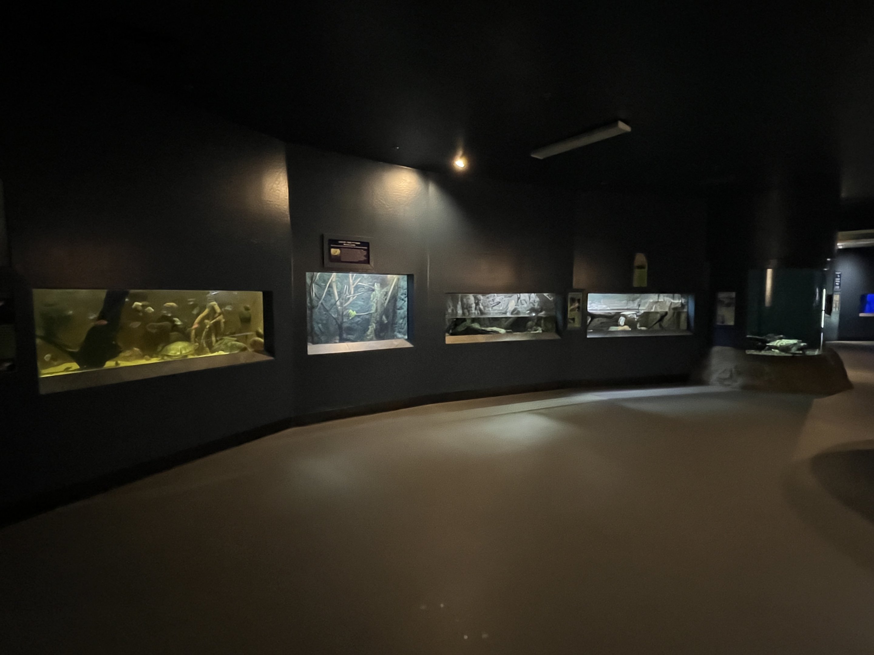 Diversity of Life Building