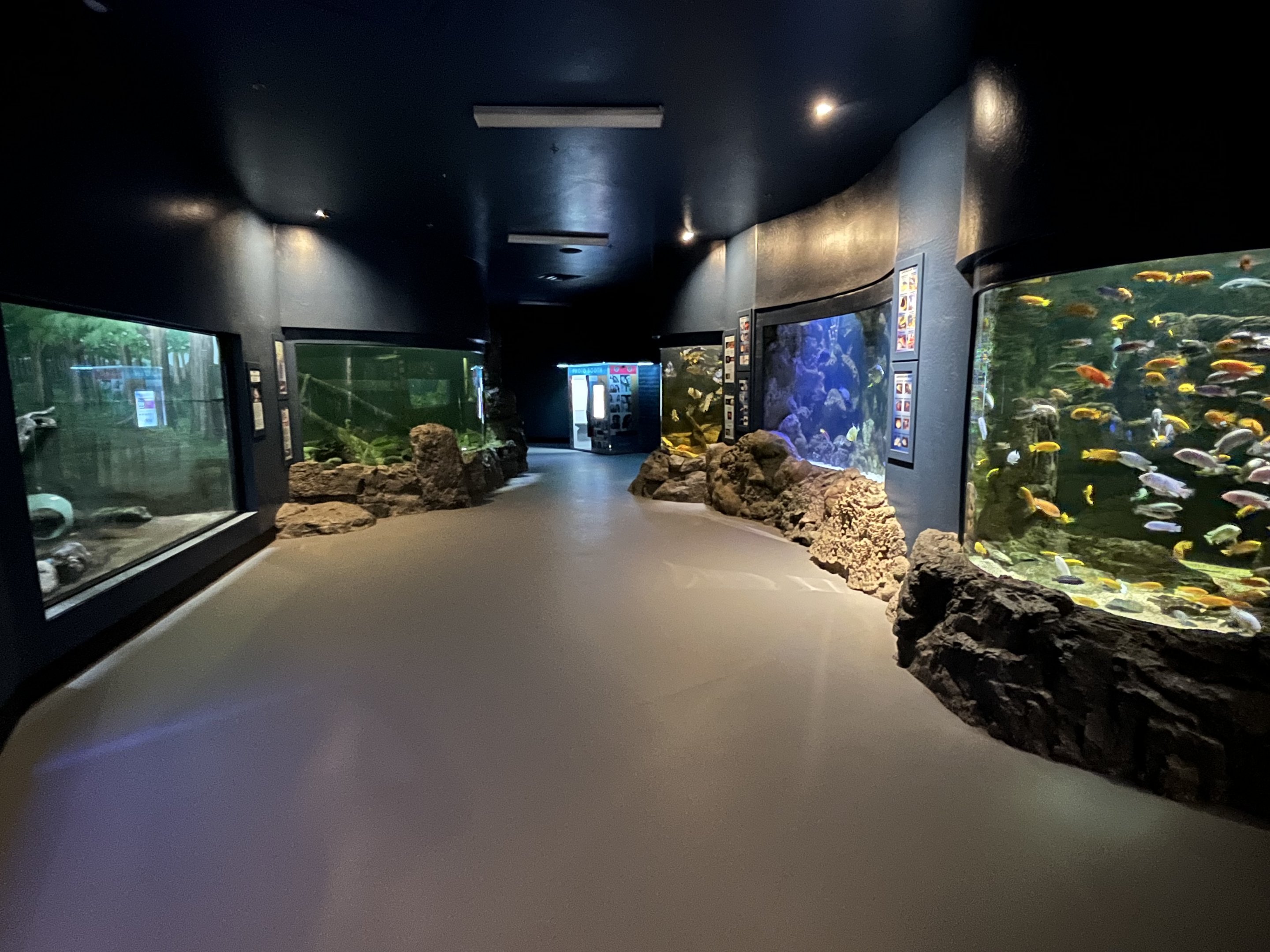 Diversity of Life Building