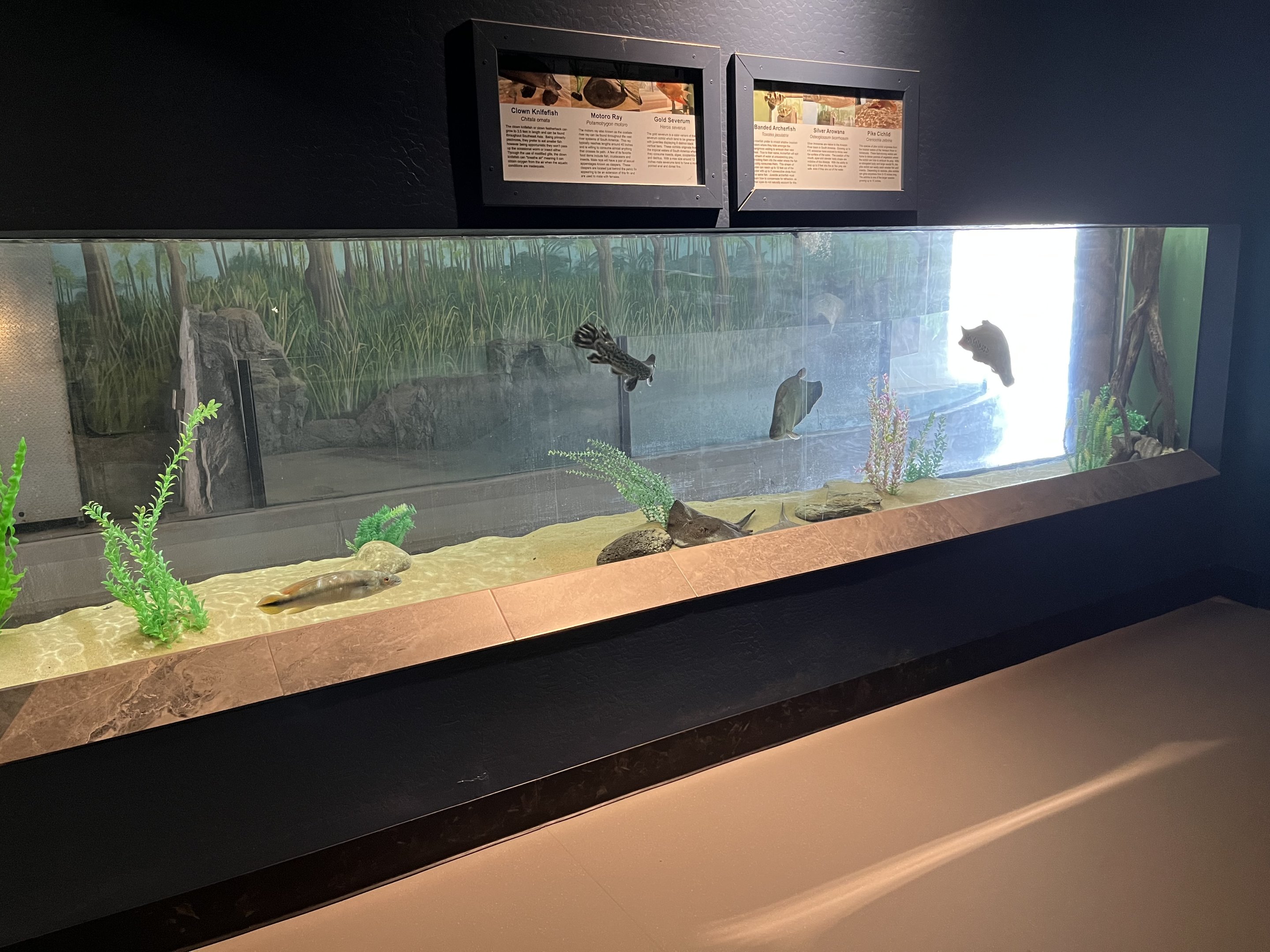 Diversity of Life Building