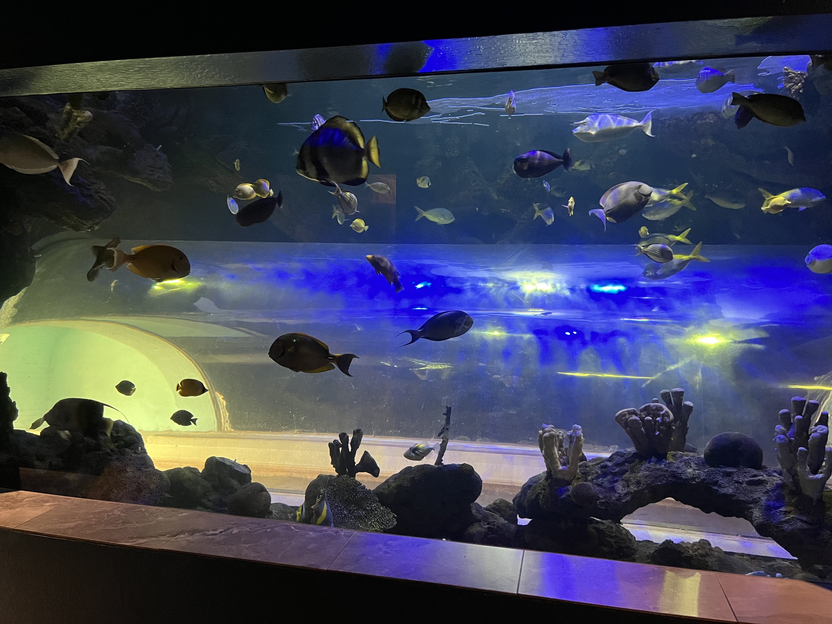 Diversity of Life Building