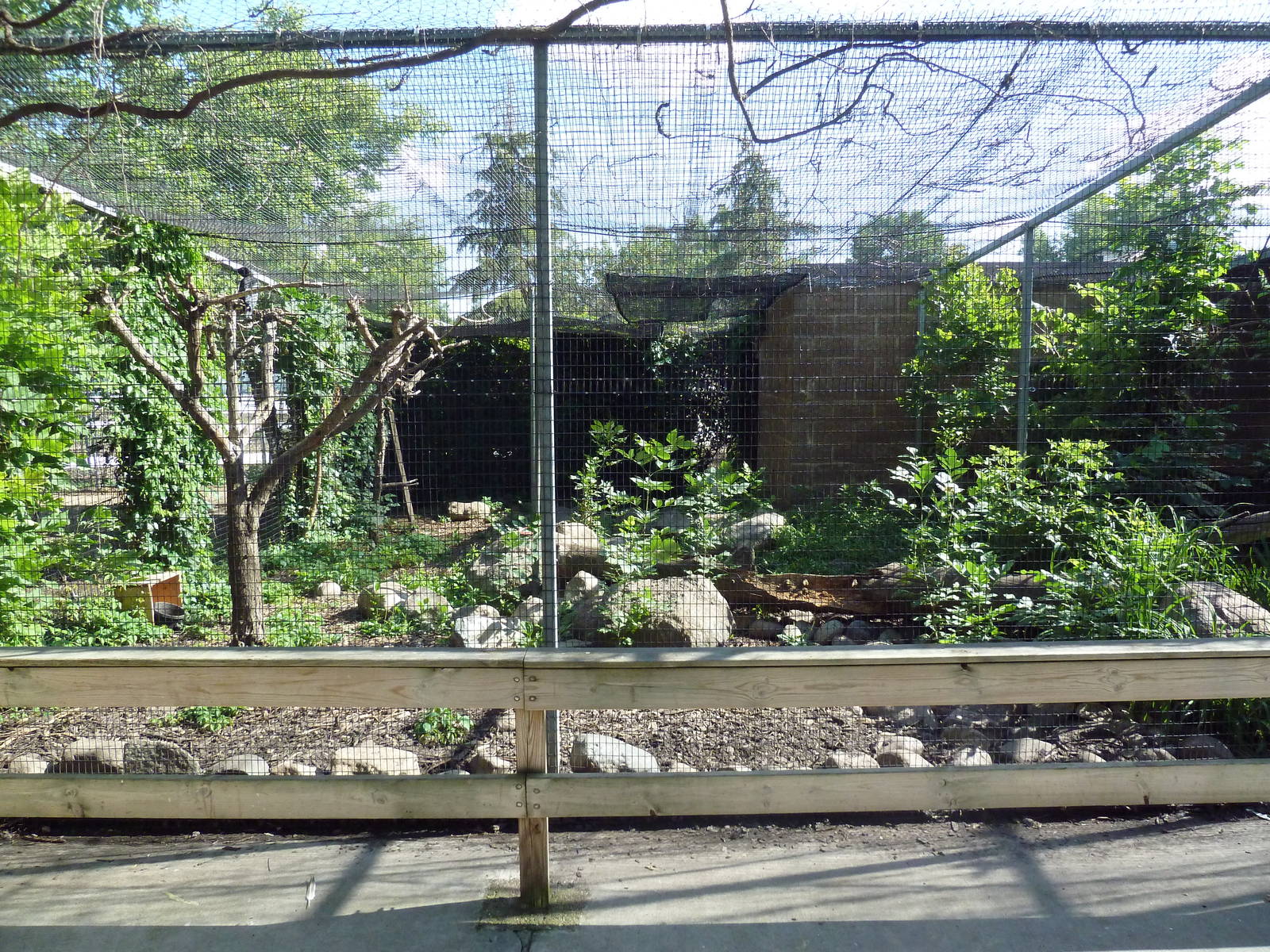 Diversity of Life Complex - Bird Aviary