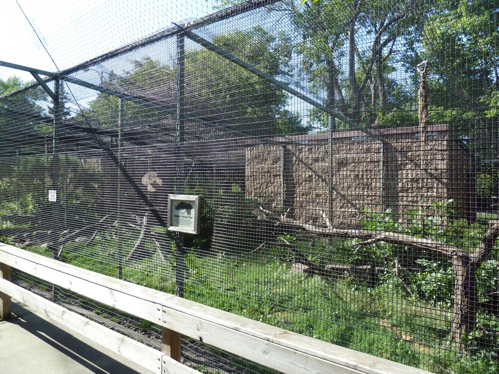 Diversity of Life Complex - Black-and-White Ruffed Lemur Exhibit