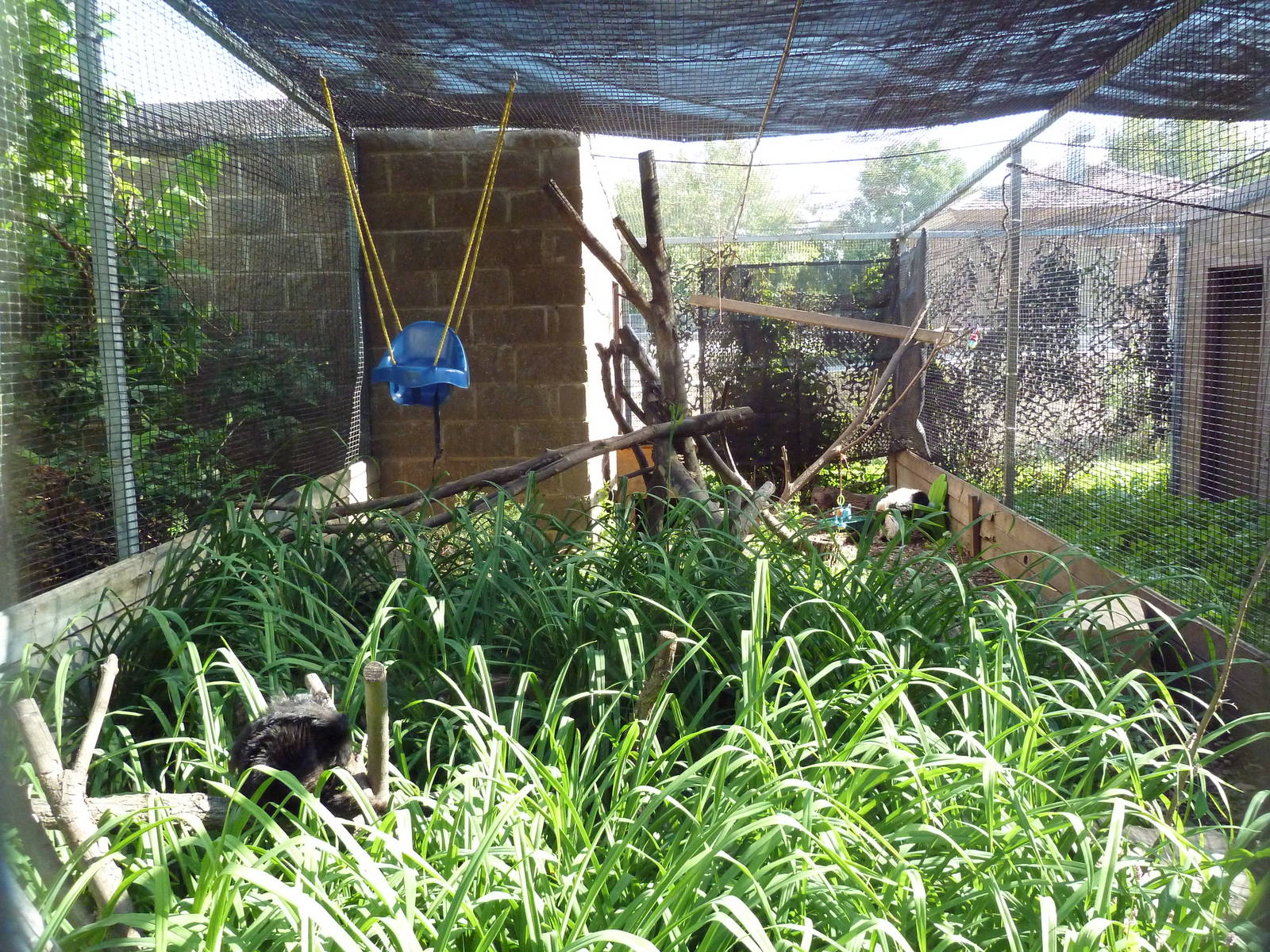 Diversity of Life Complex - Lemur Exhibit (2 Species)