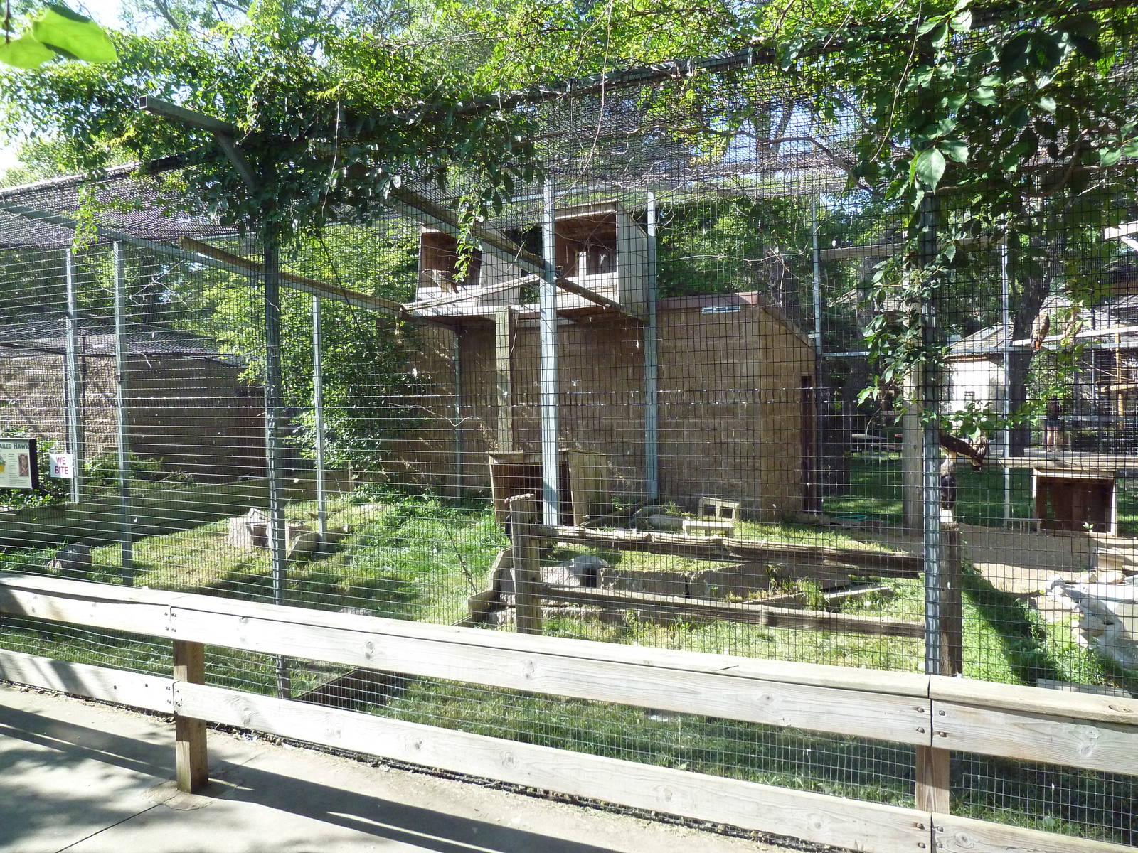 Diversity of Life Complex - Red-Tailed Hawk Exhibit