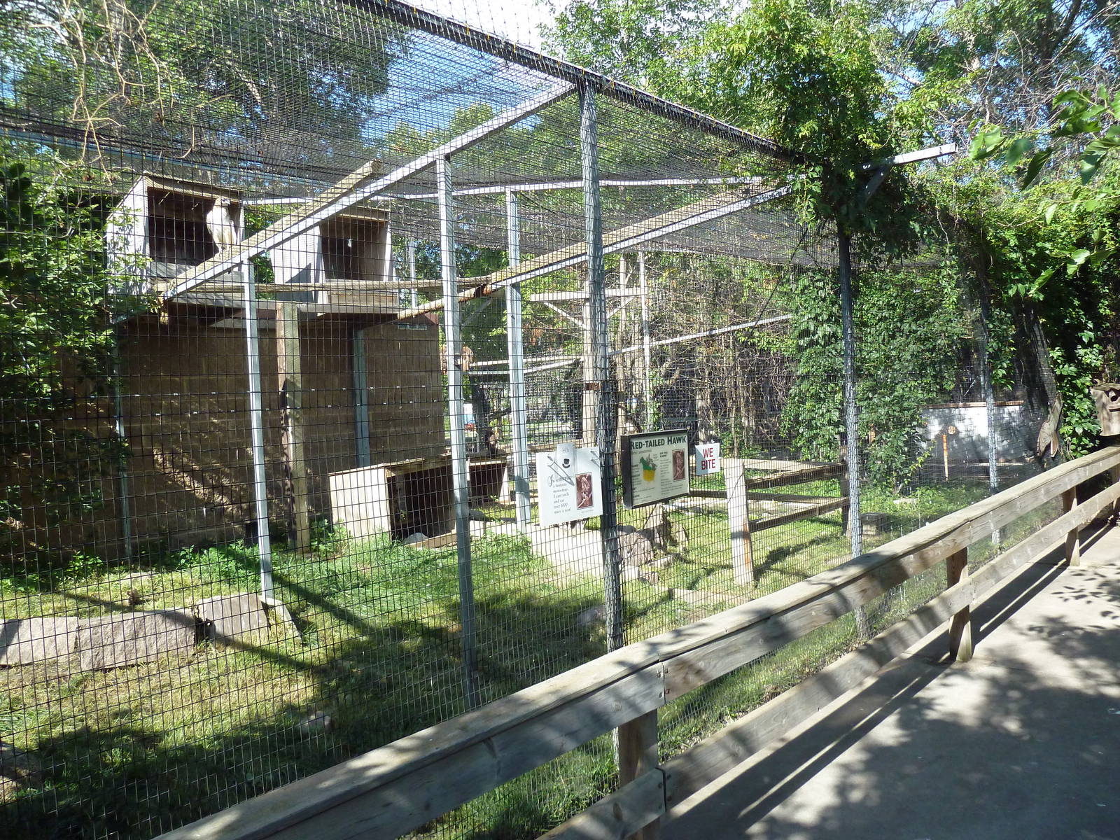 Diversity of Life Complex - Red-Tailed Hawk Exhibit