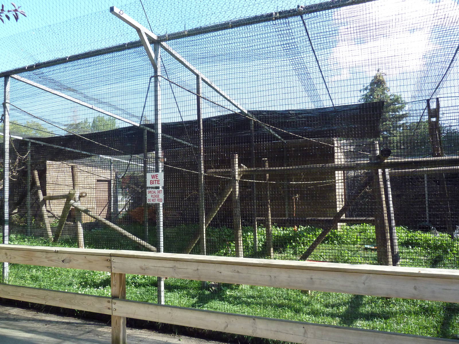 Diversity of Life Complex - Ring-Tailed Lemur Exhibit