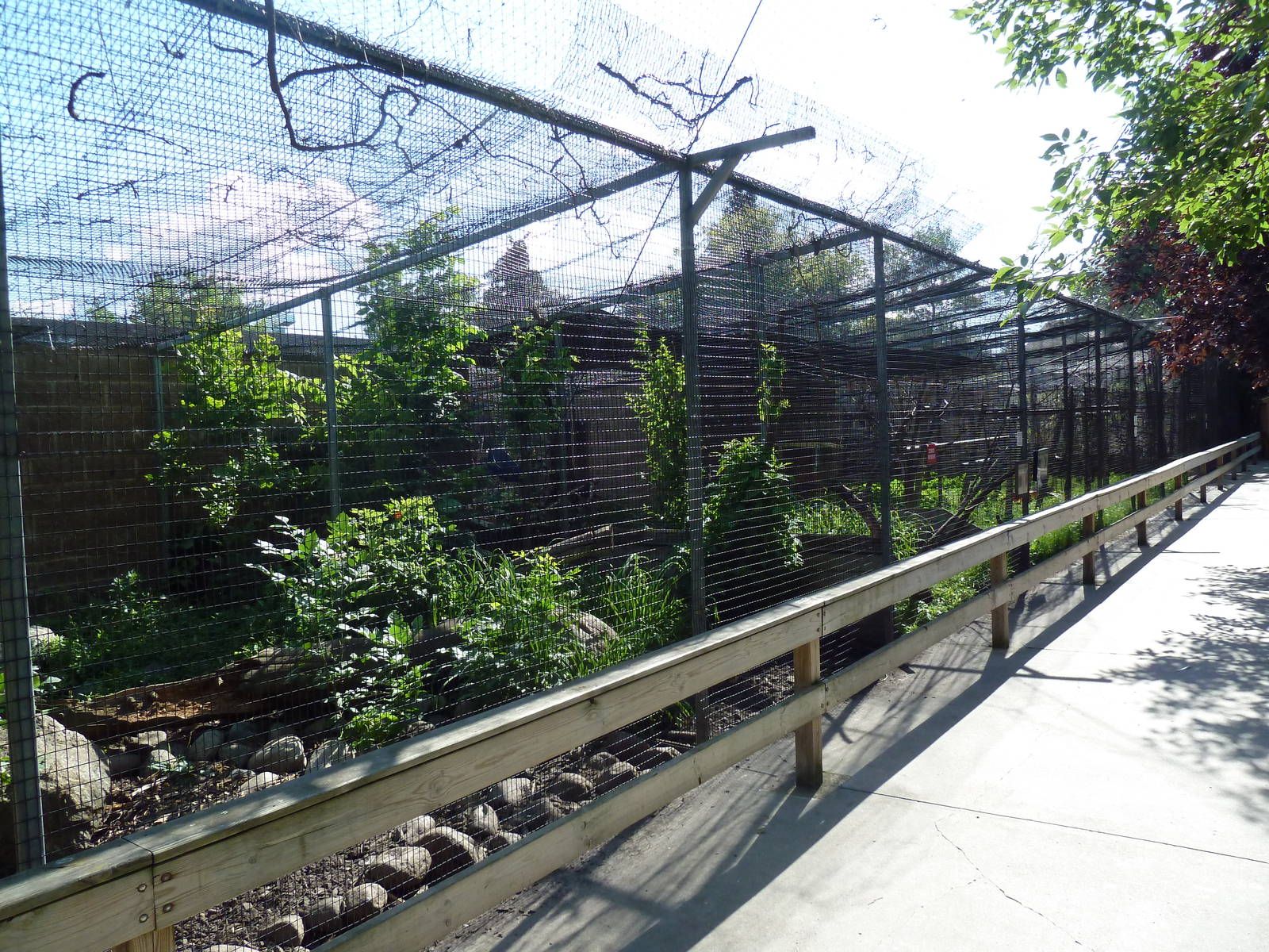 Diversity of Life Complex